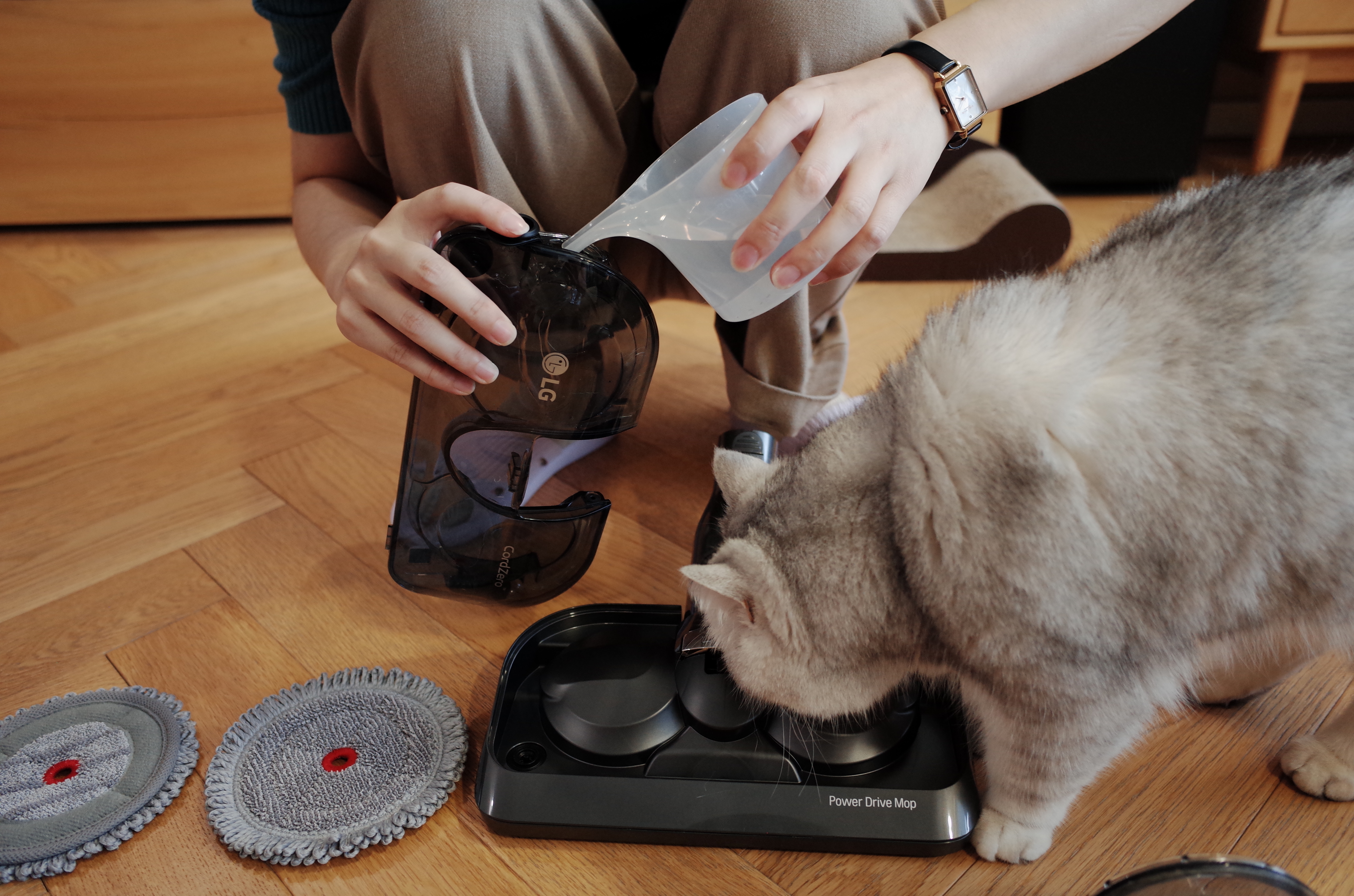 New product evaluation of LG a9k vacuum cleaner，Furniture designer almond vegetable head，