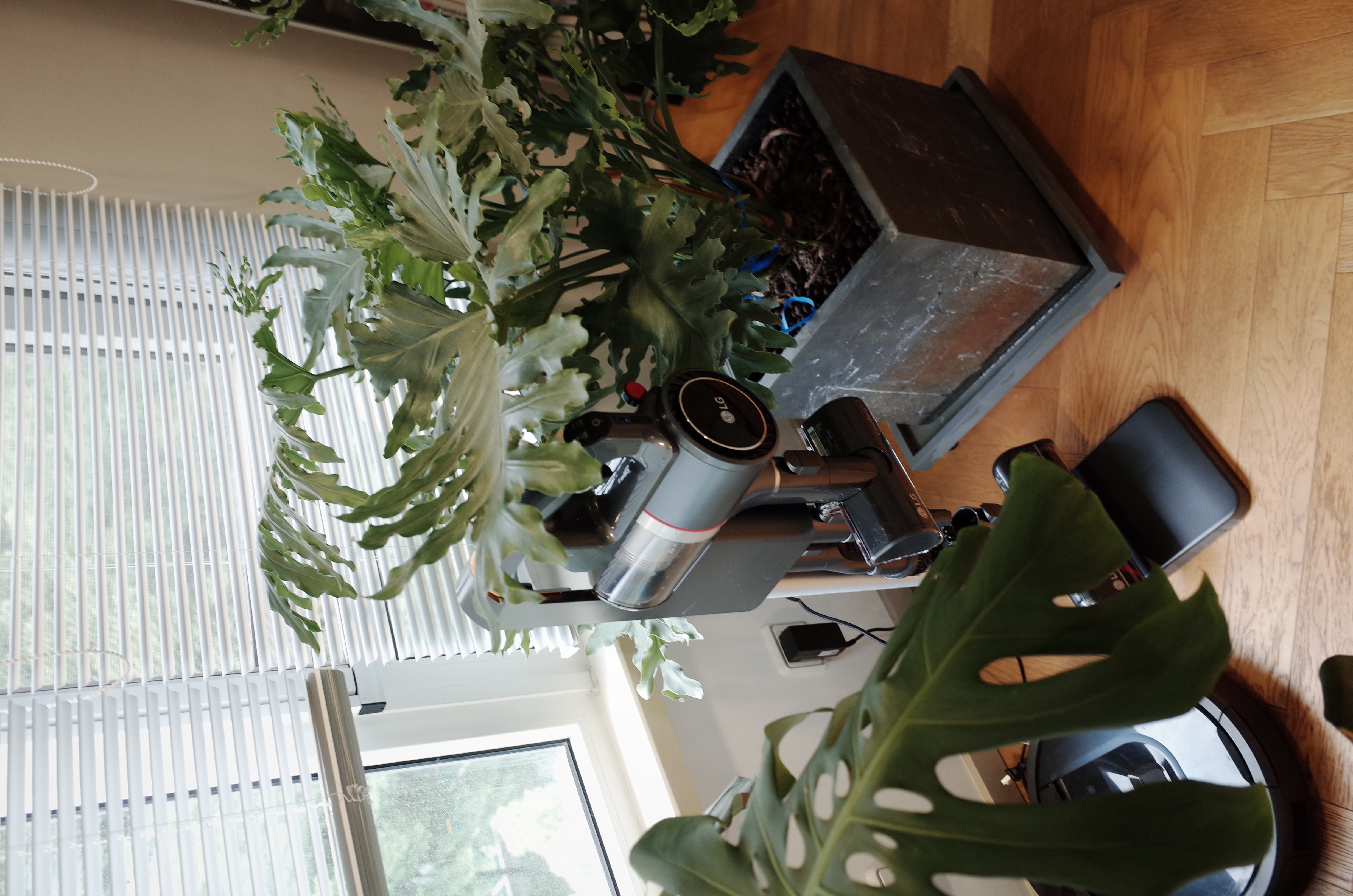 New product evaluation of LG a9k vacuum cleaner，Furniture designer almond vegetable head，