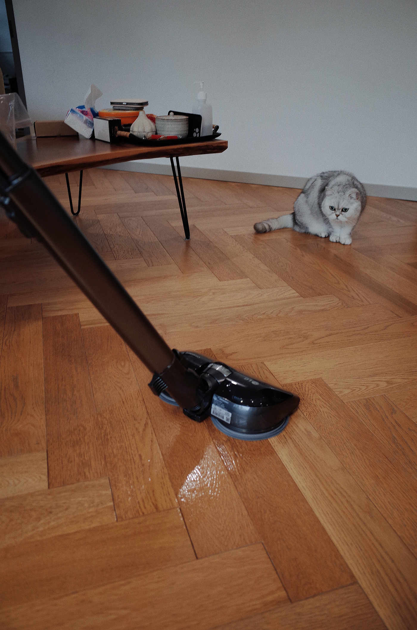 New product evaluation of LG a9k vacuum cleaner，Furniture designer almond vegetable head，