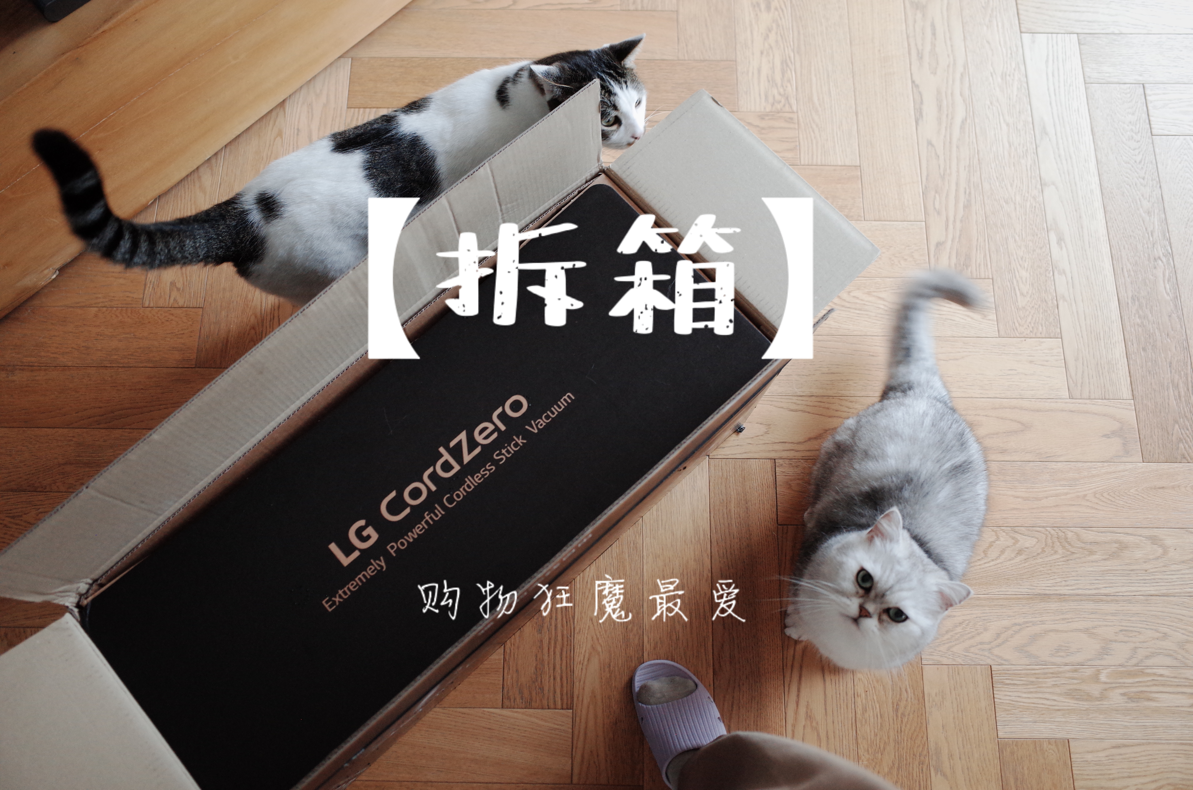 New product evaluation of LG a9k vacuum cleaner，Furniture designer almond vegetable head，