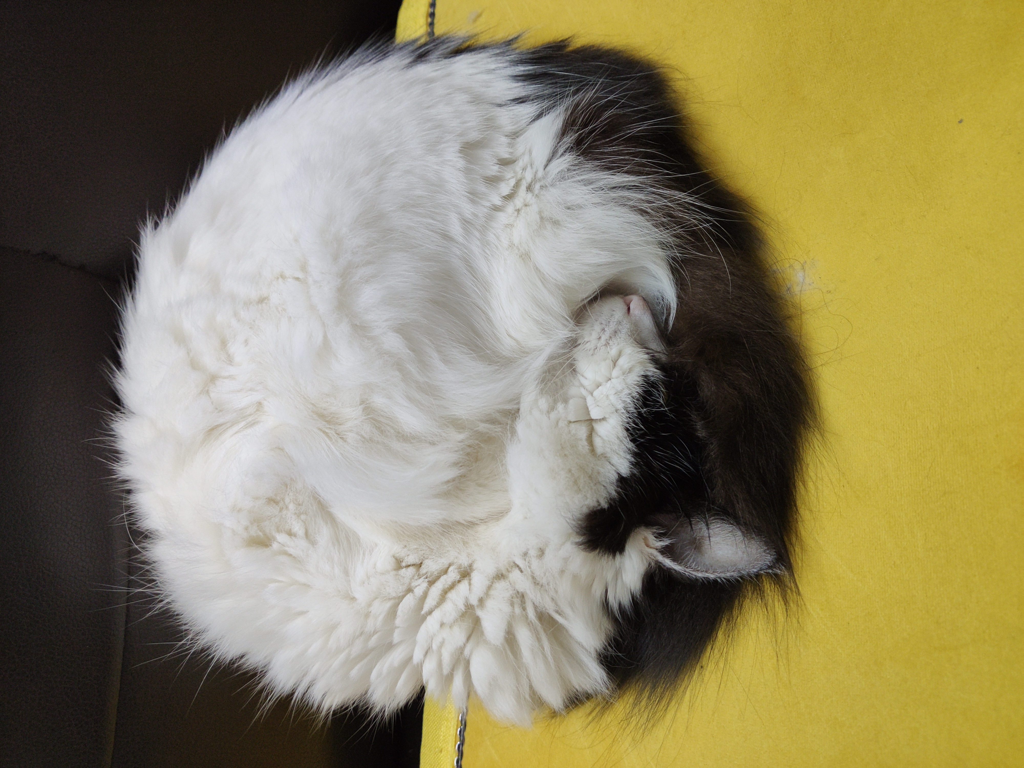 But there's nothing wrong with lovely love!，