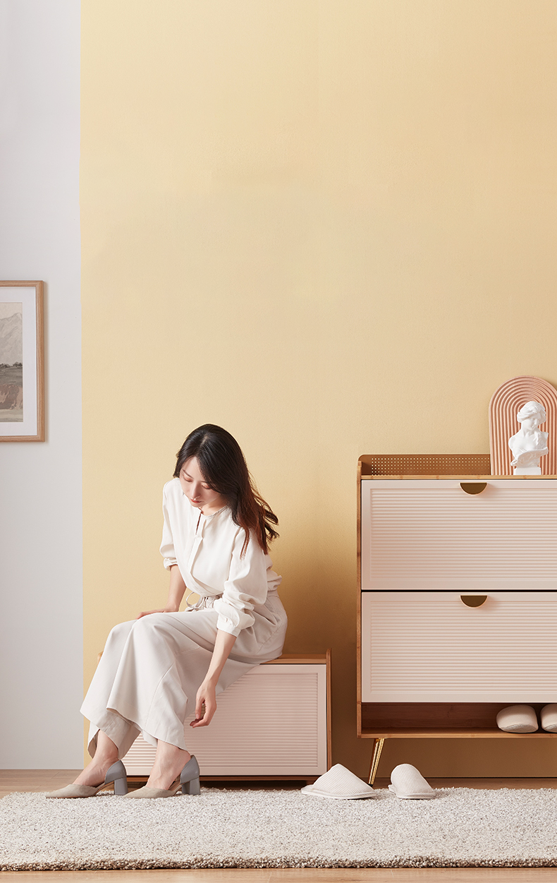 Modular combined shoe cabinet，