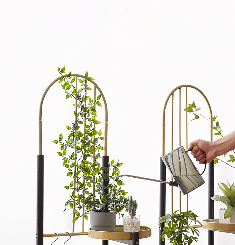 Plants can climb flower racks，