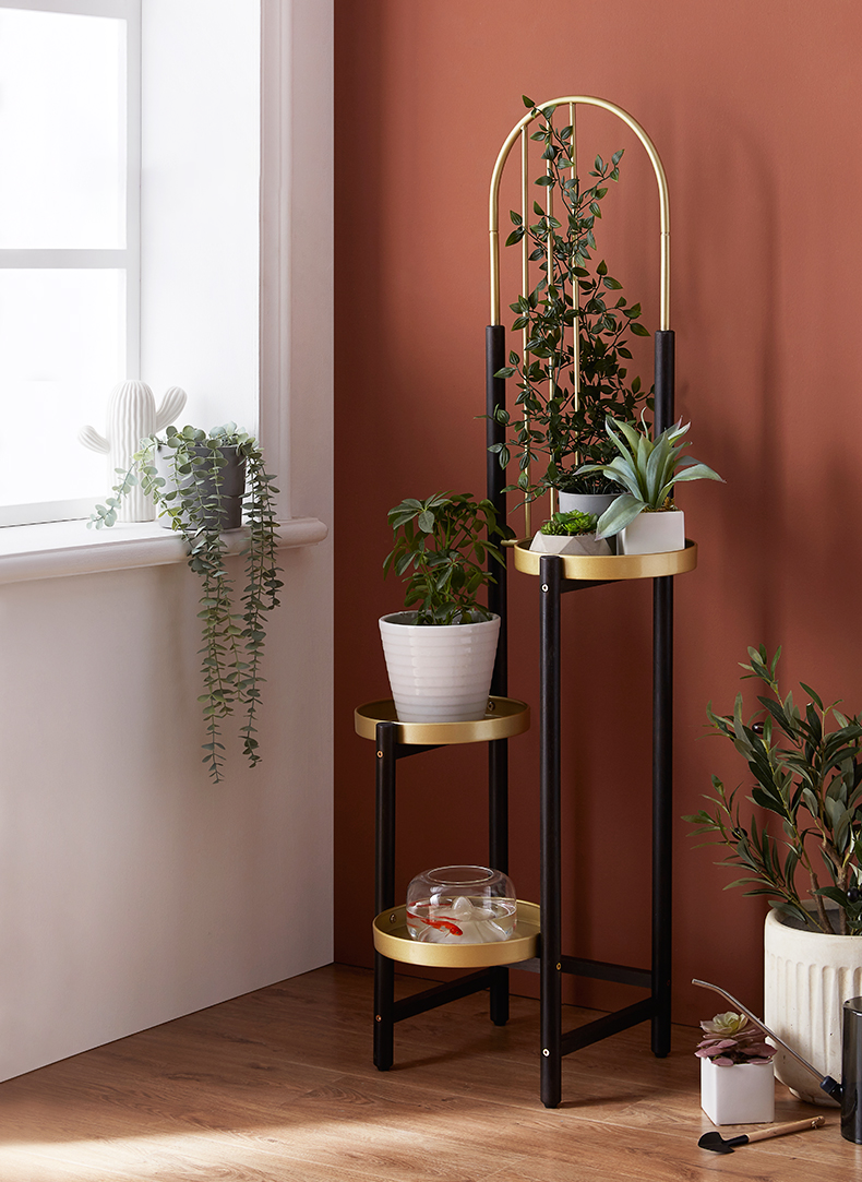 Plants can climb flower racks，