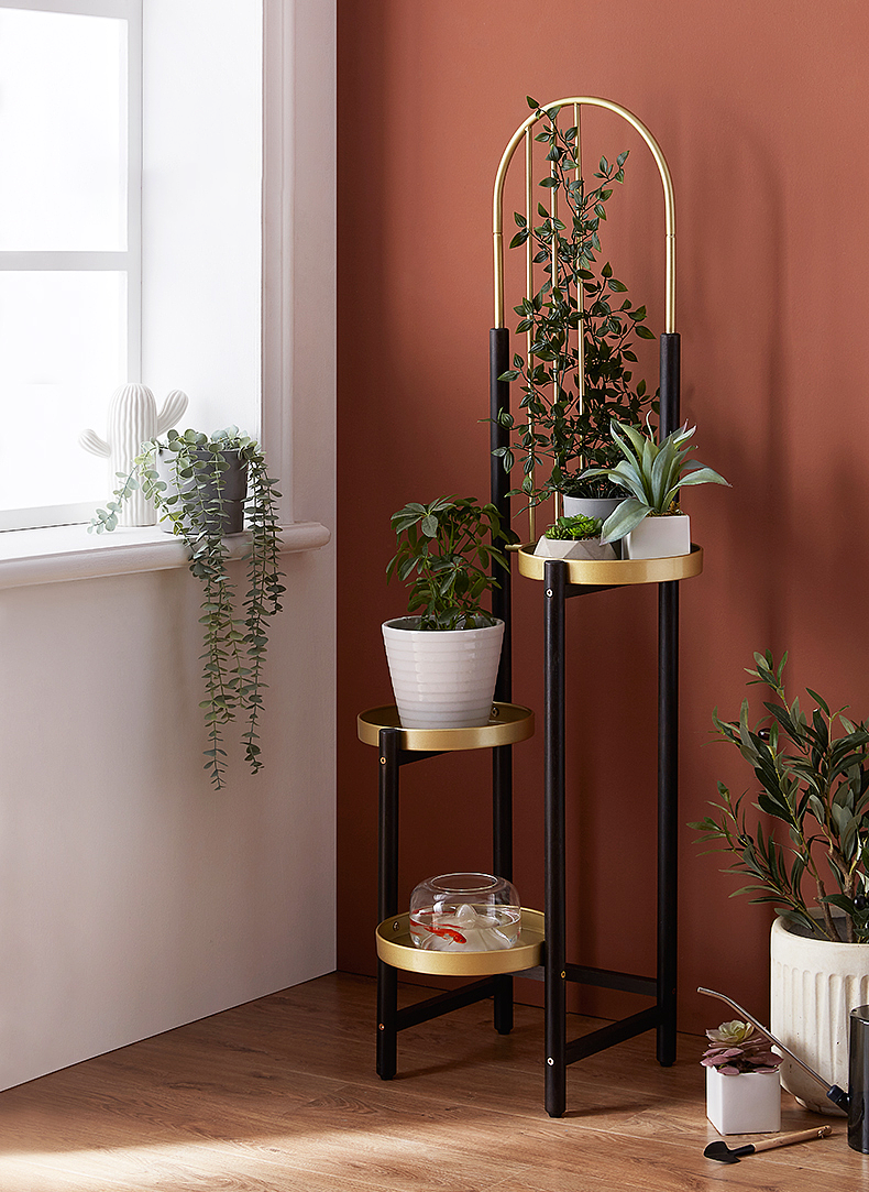 Plants can climb flower racks，