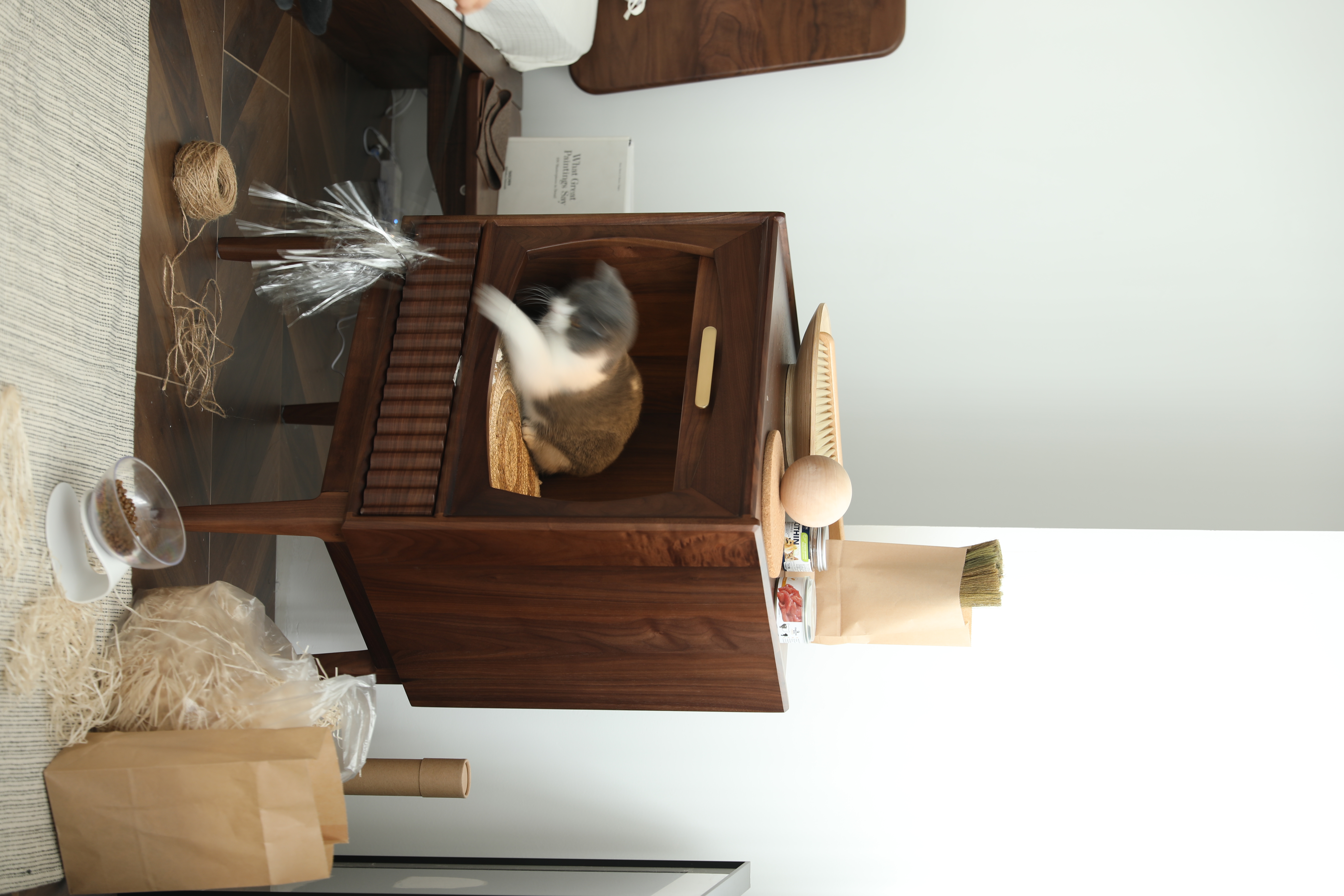 wine cabinet，Pets，cat，Hangzhou，Home design，furniture，cabinet，Side cabinet，