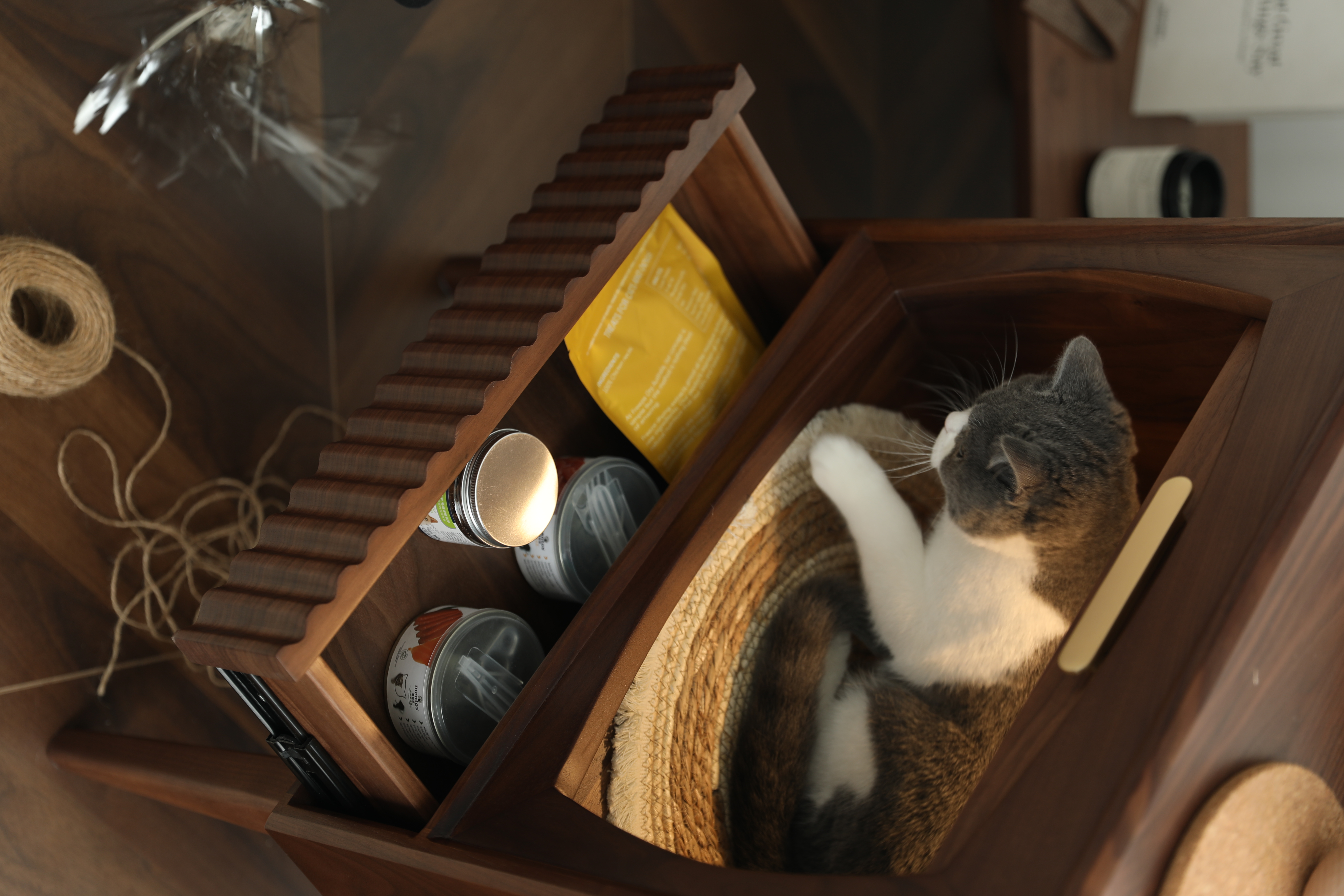 wine cabinet，Pets，cat，Hangzhou，Home design，furniture，cabinet，Side cabinet，