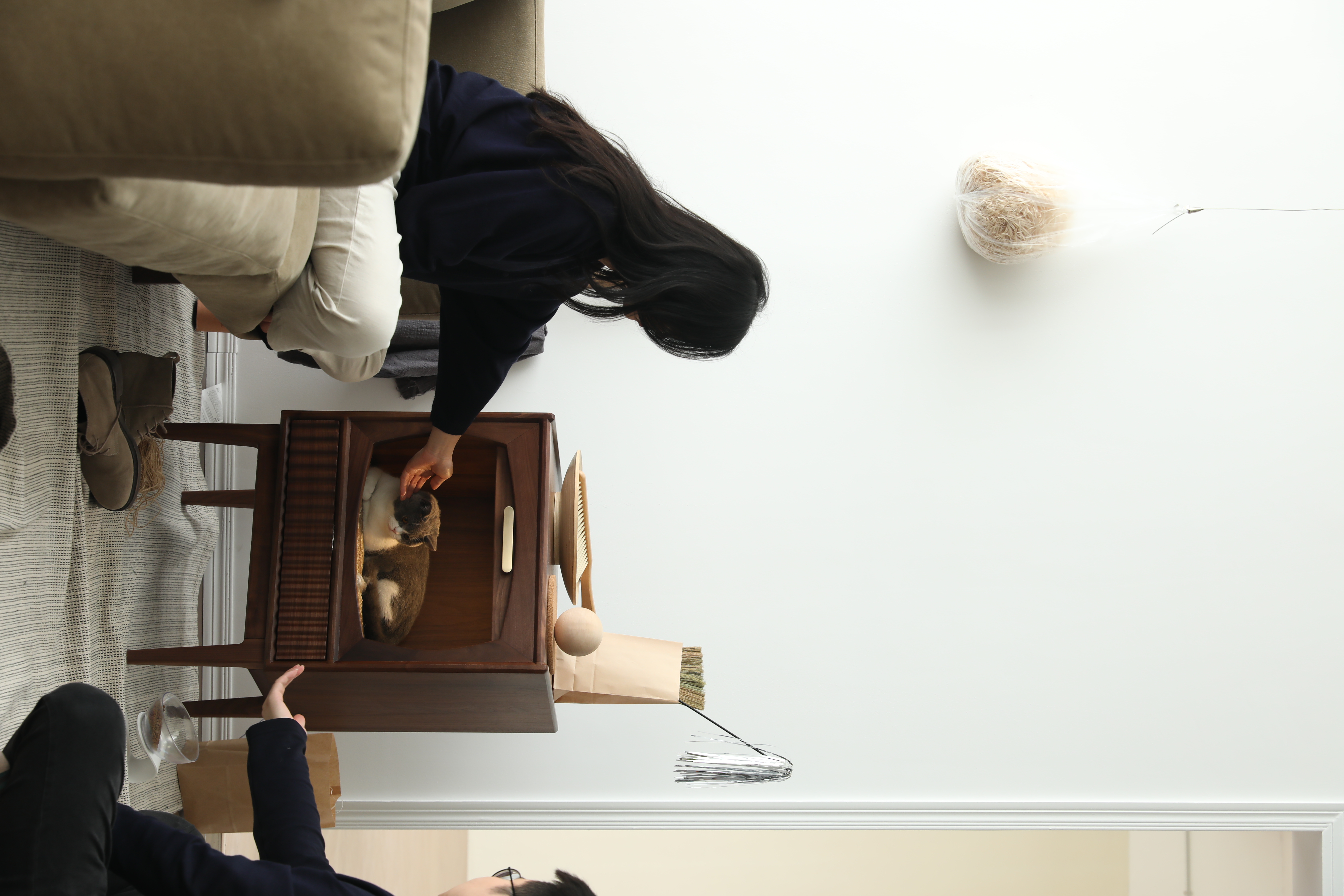 wine cabinet，Pets，cat，Hangzhou，Home design，furniture，cabinet，Side cabinet，