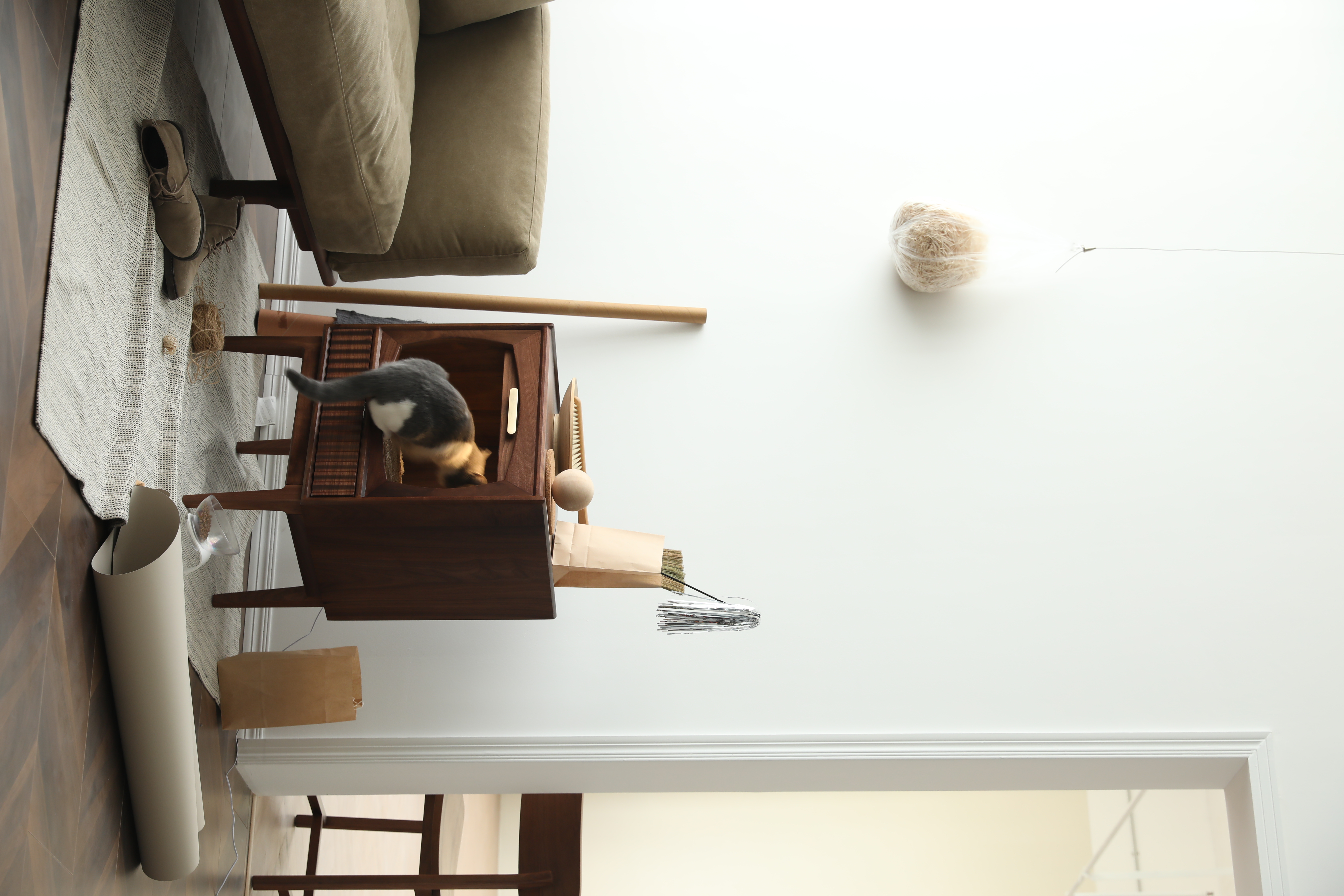 wine cabinet，Pets，cat，Hangzhou，Home design，furniture，cabinet，Side cabinet，