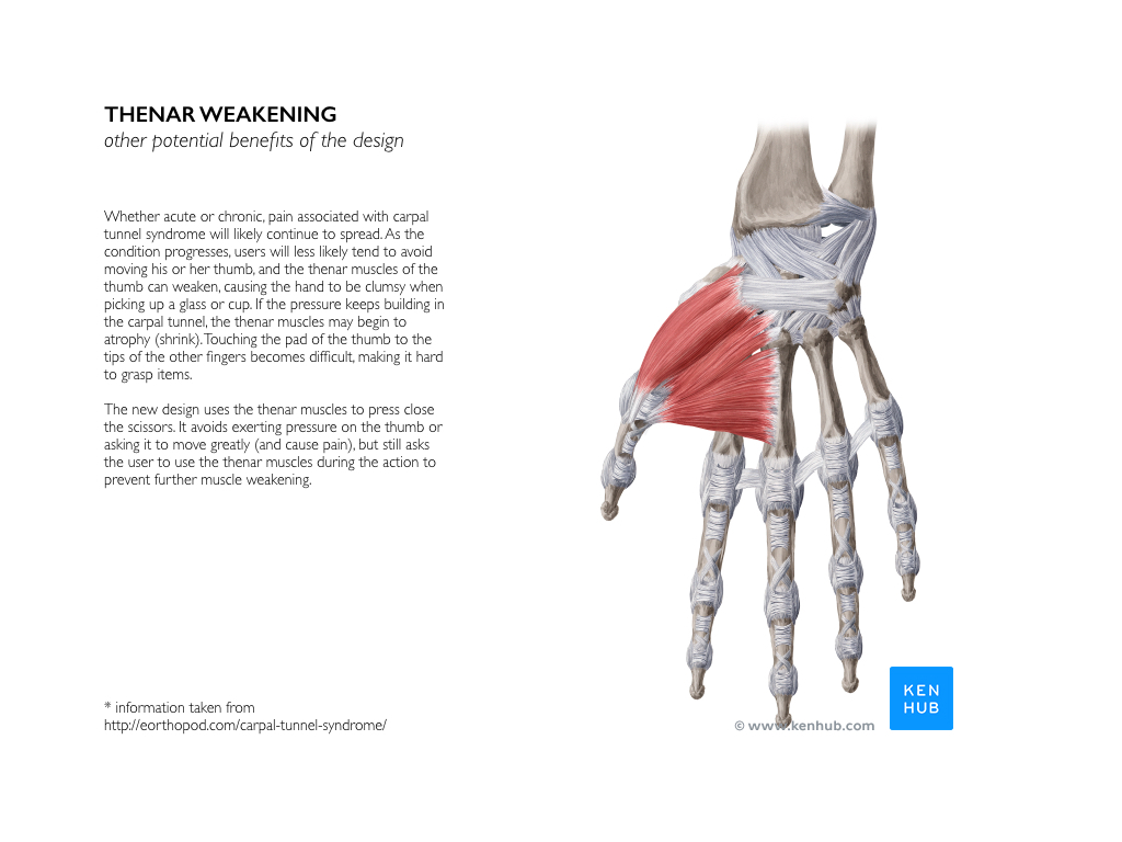 scissors，User experience，Ergonomics，