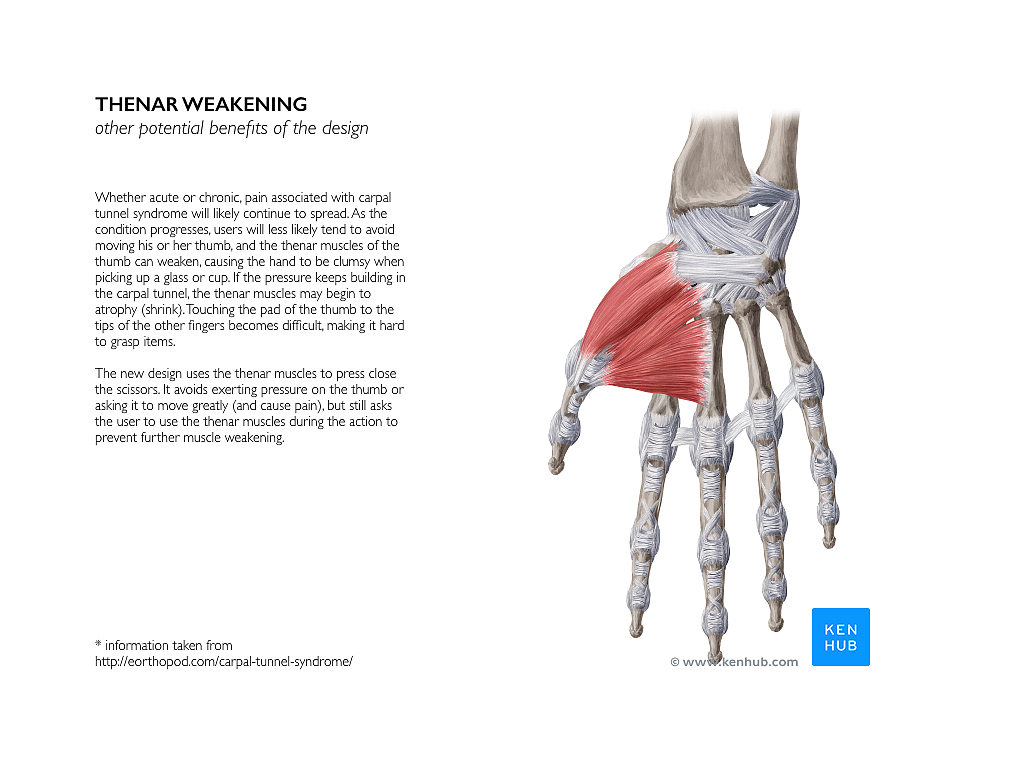 scissors，User experience，Ergonomics，