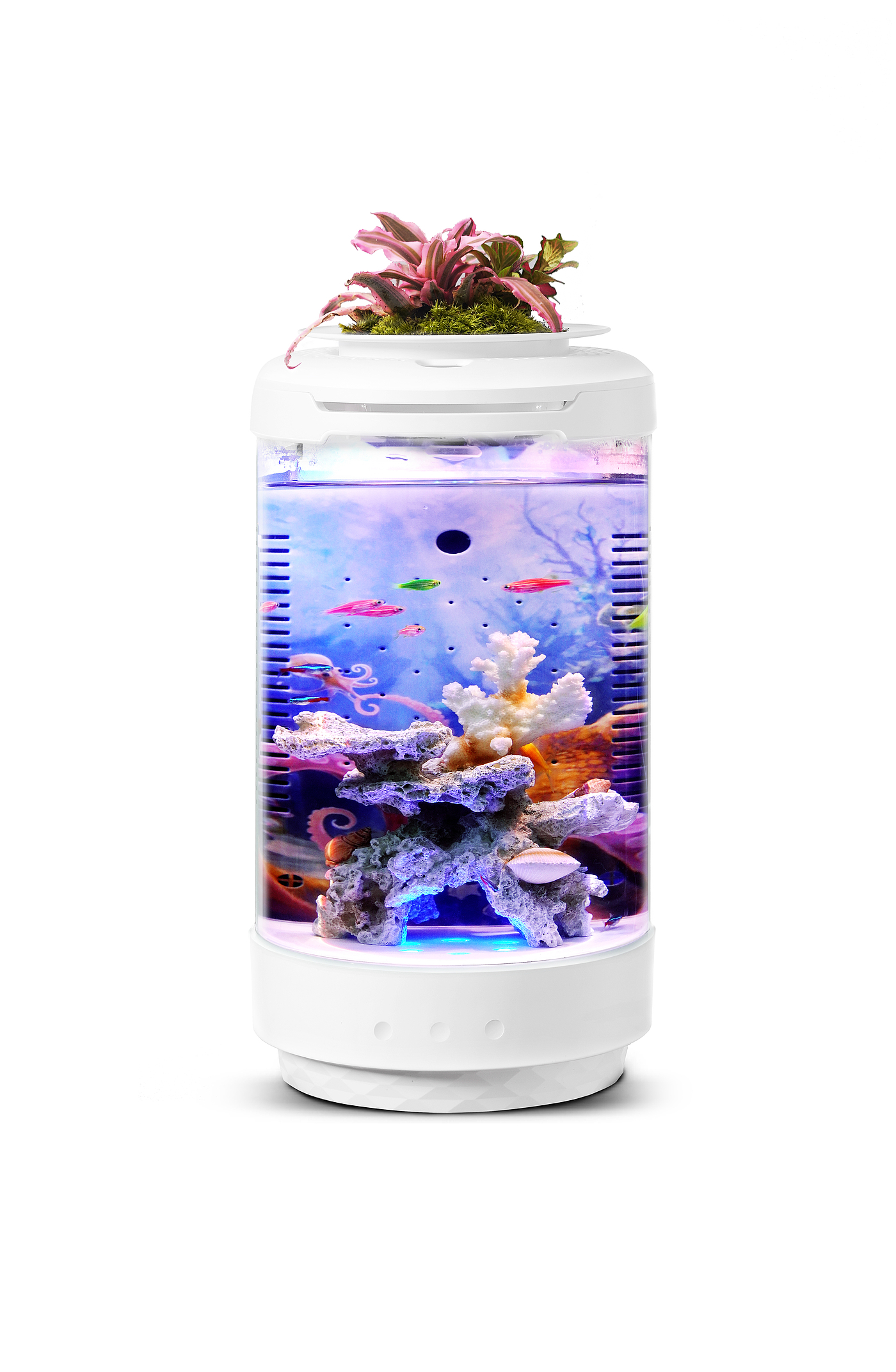 鱼缸，fishtank，