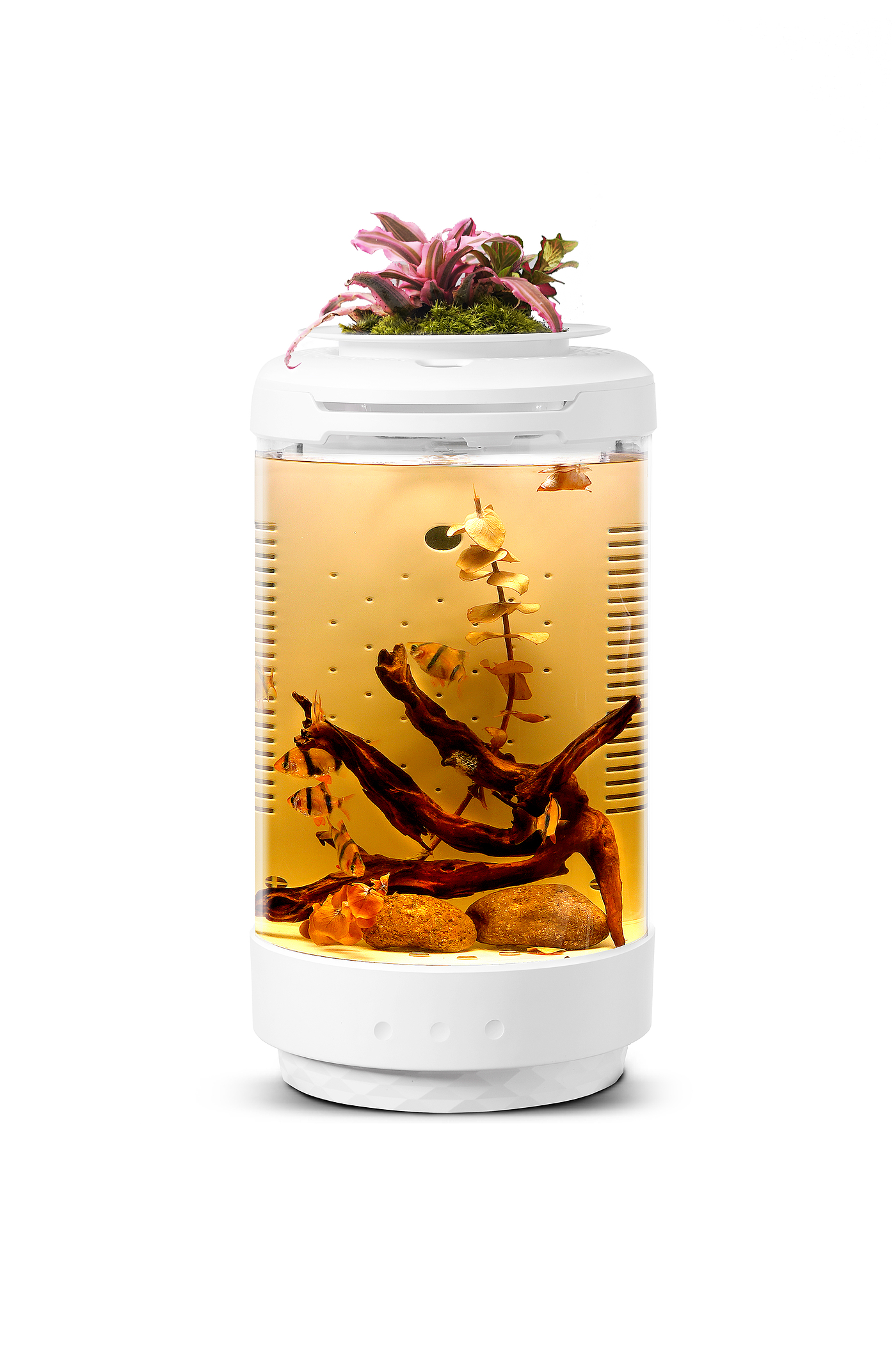 鱼缸，fishtank，