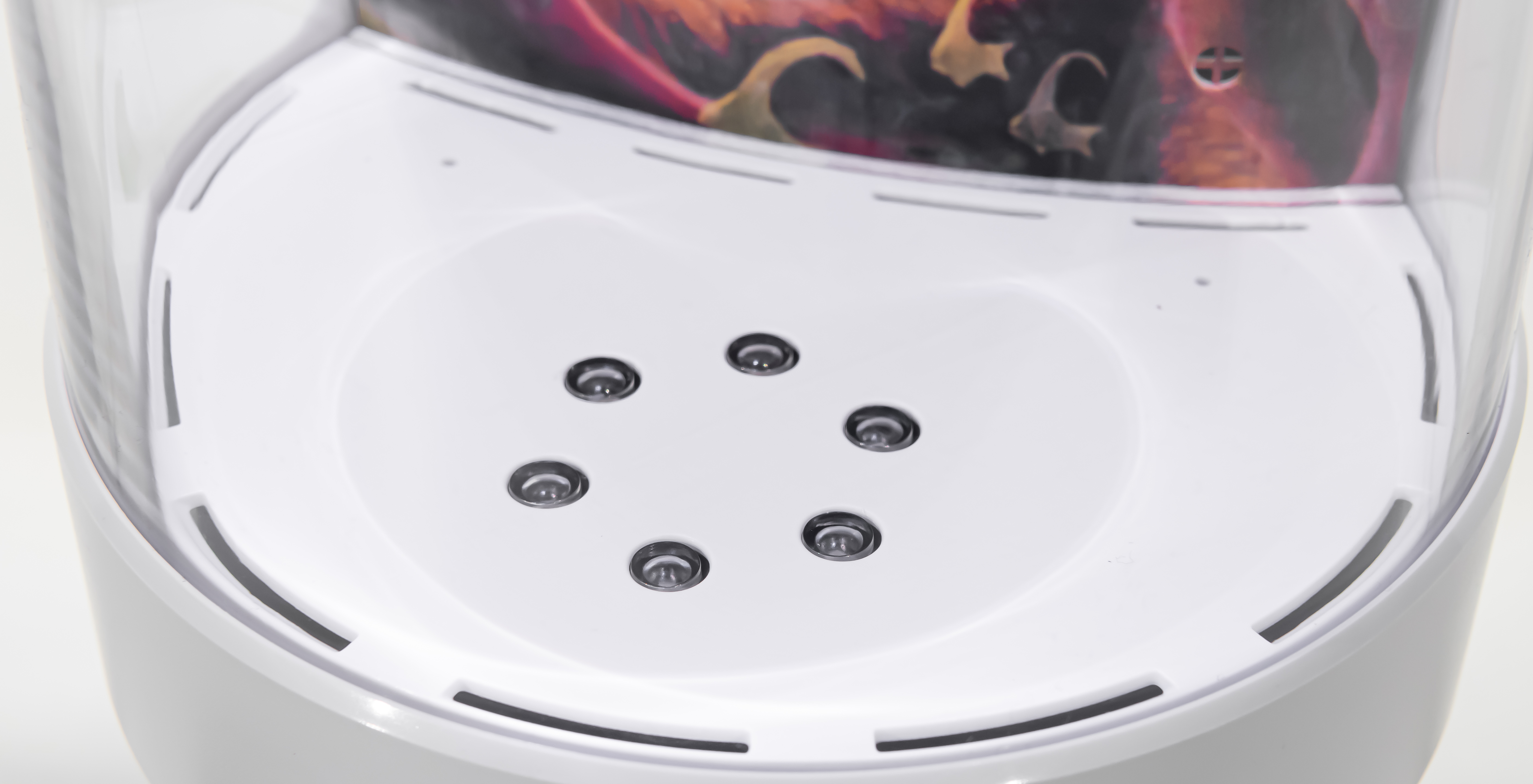 fish tank，fishtank，