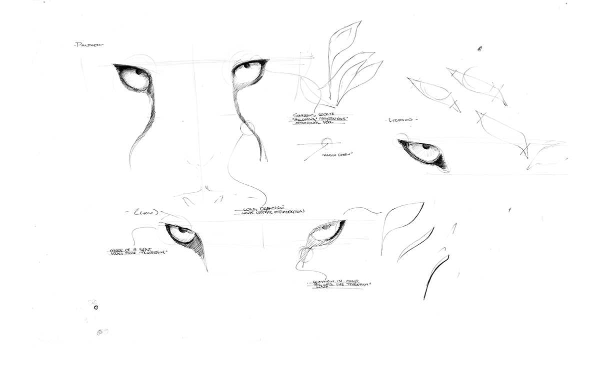 Hand drawn，draft，Collection，line，