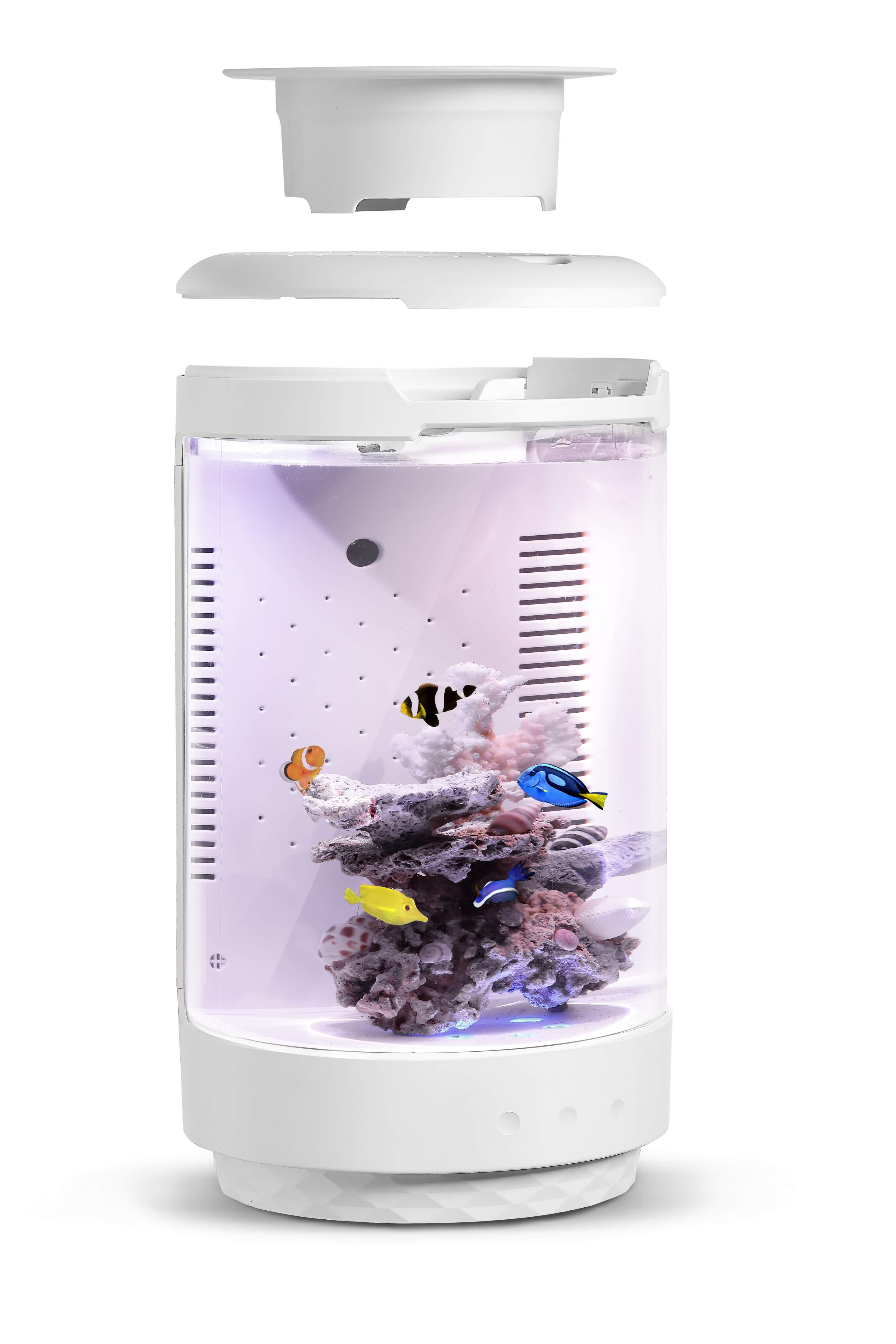 fish tank，fishtank，