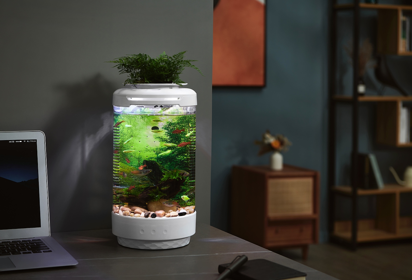 fish tank，fishtank，