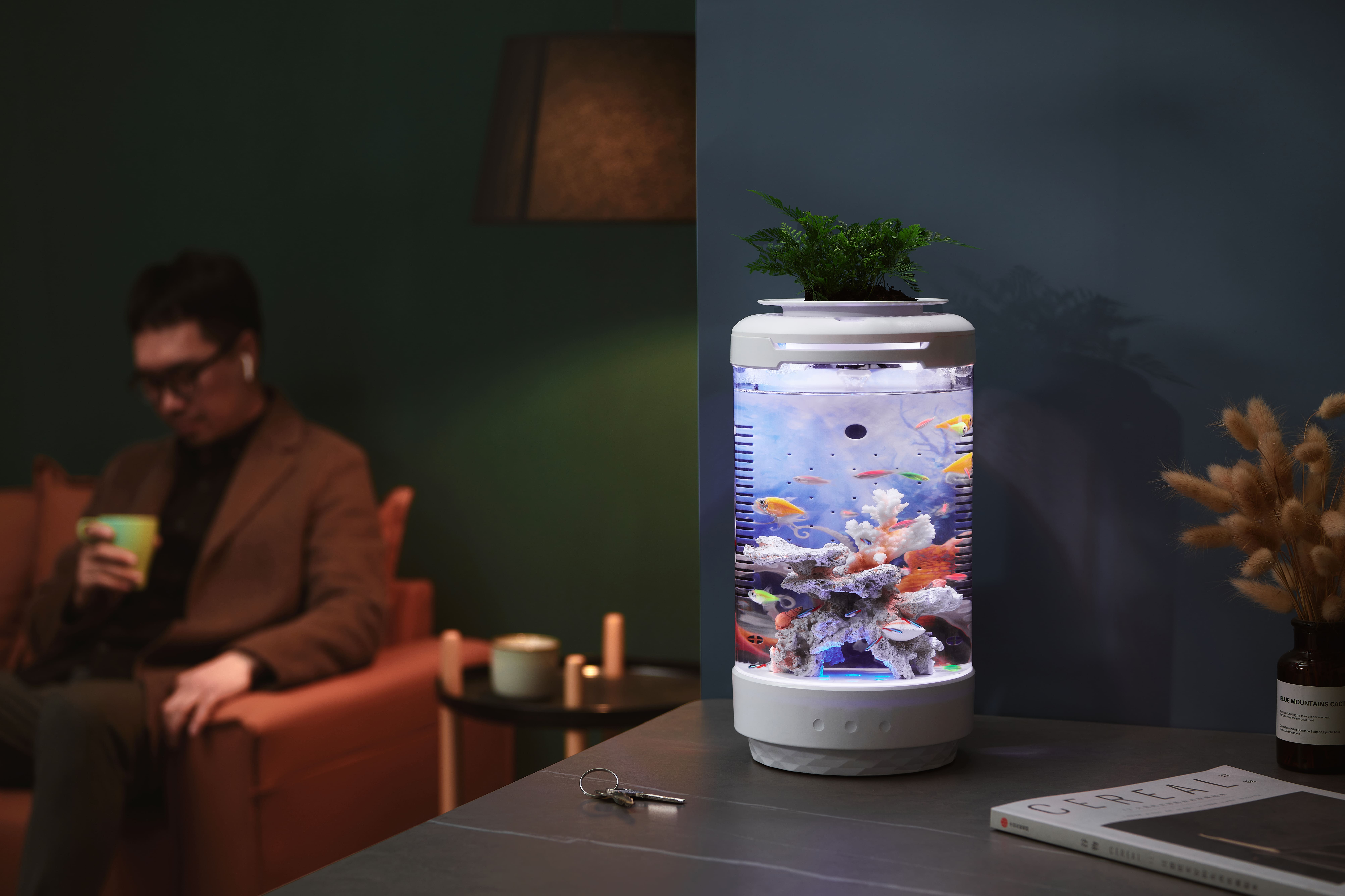 fish tank，fishtank，