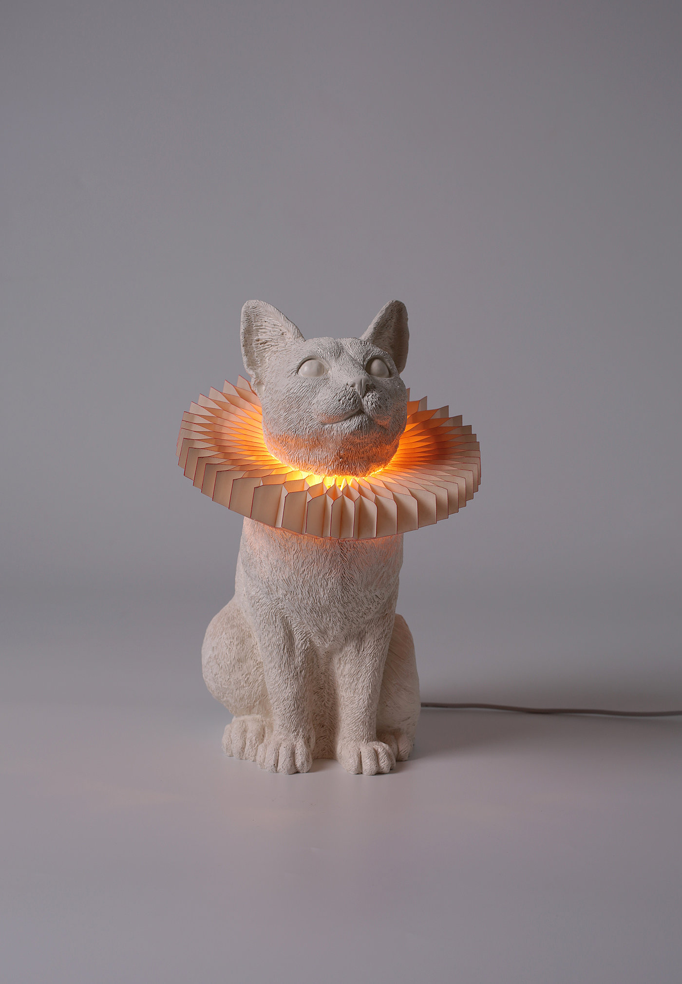 lamp，cat，lovely，decorate，