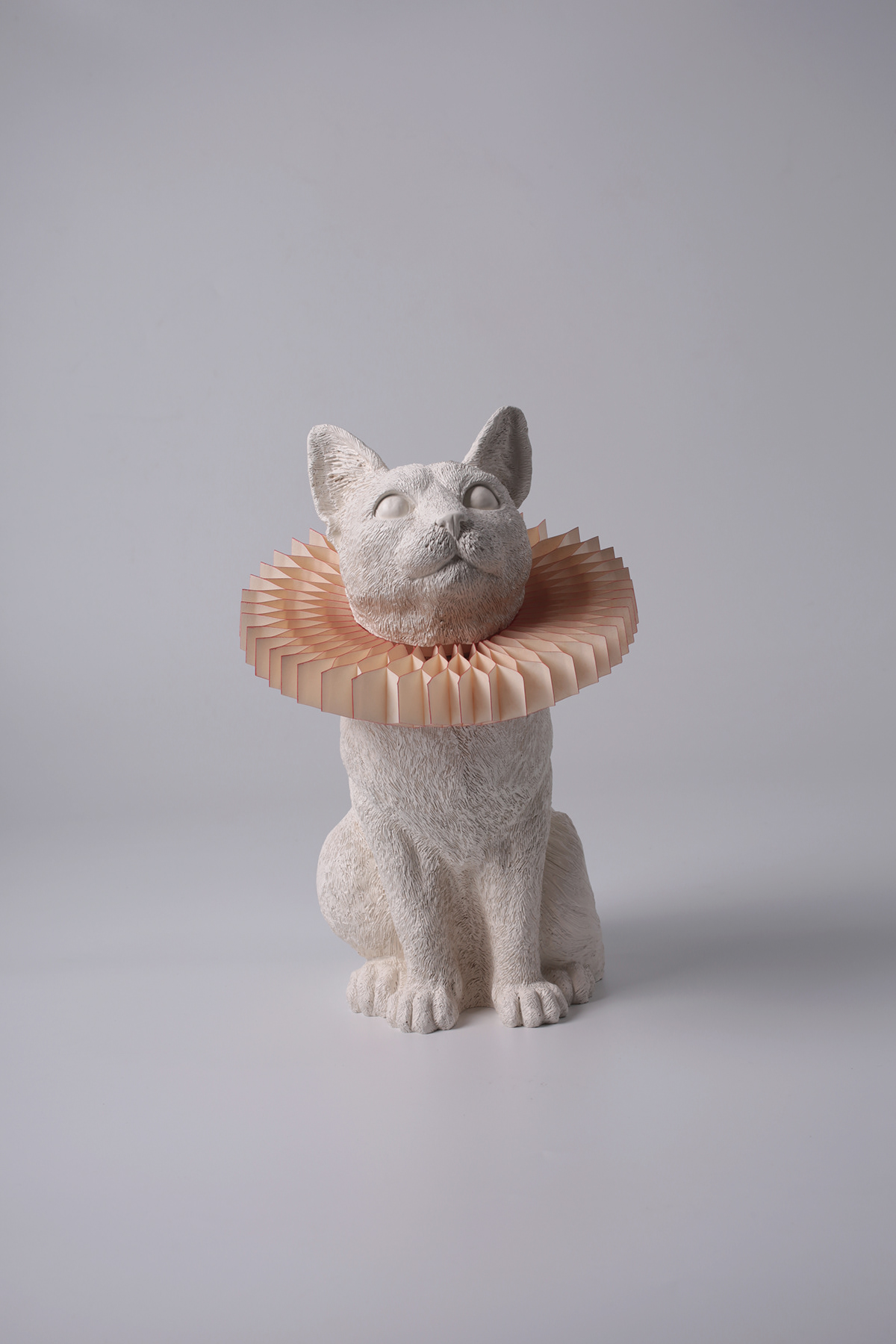 lamp，cat，lovely，decorate，