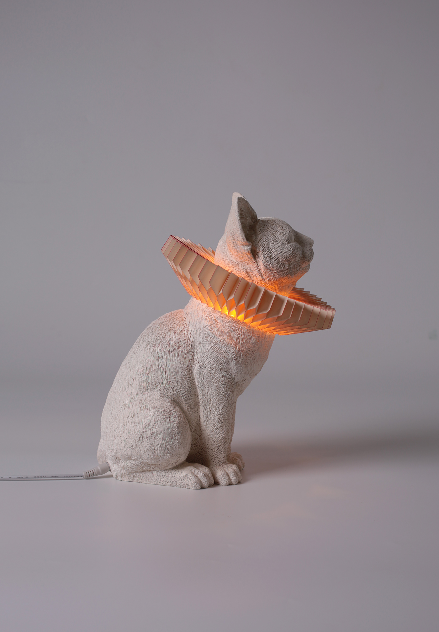 lamp，cat，lovely，decorate，