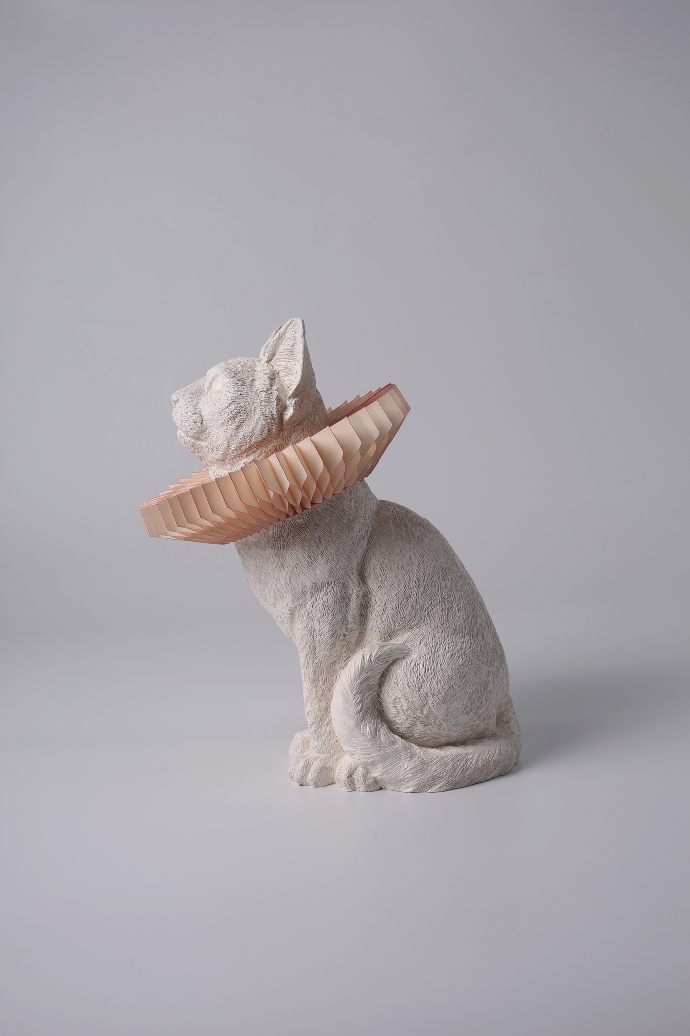 lamp，cat，lovely，decorate，