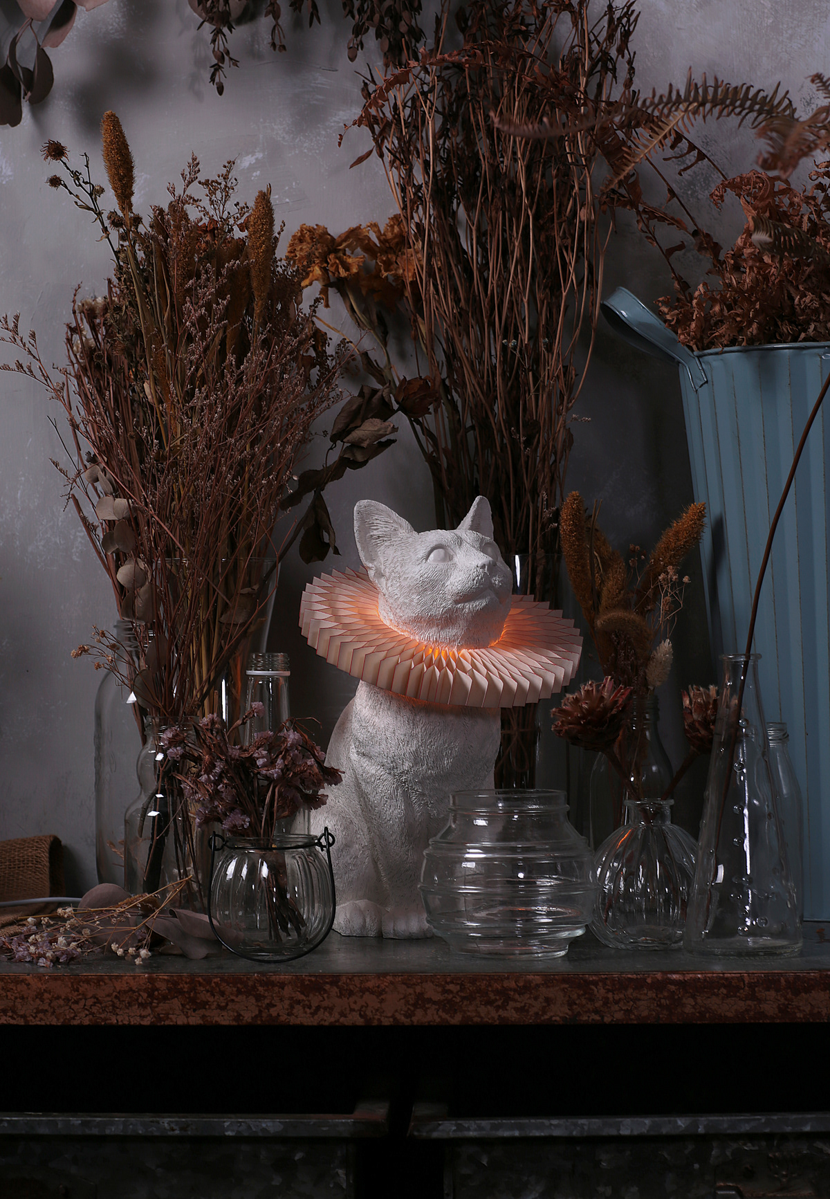 lamp，cat，lovely，decorate，