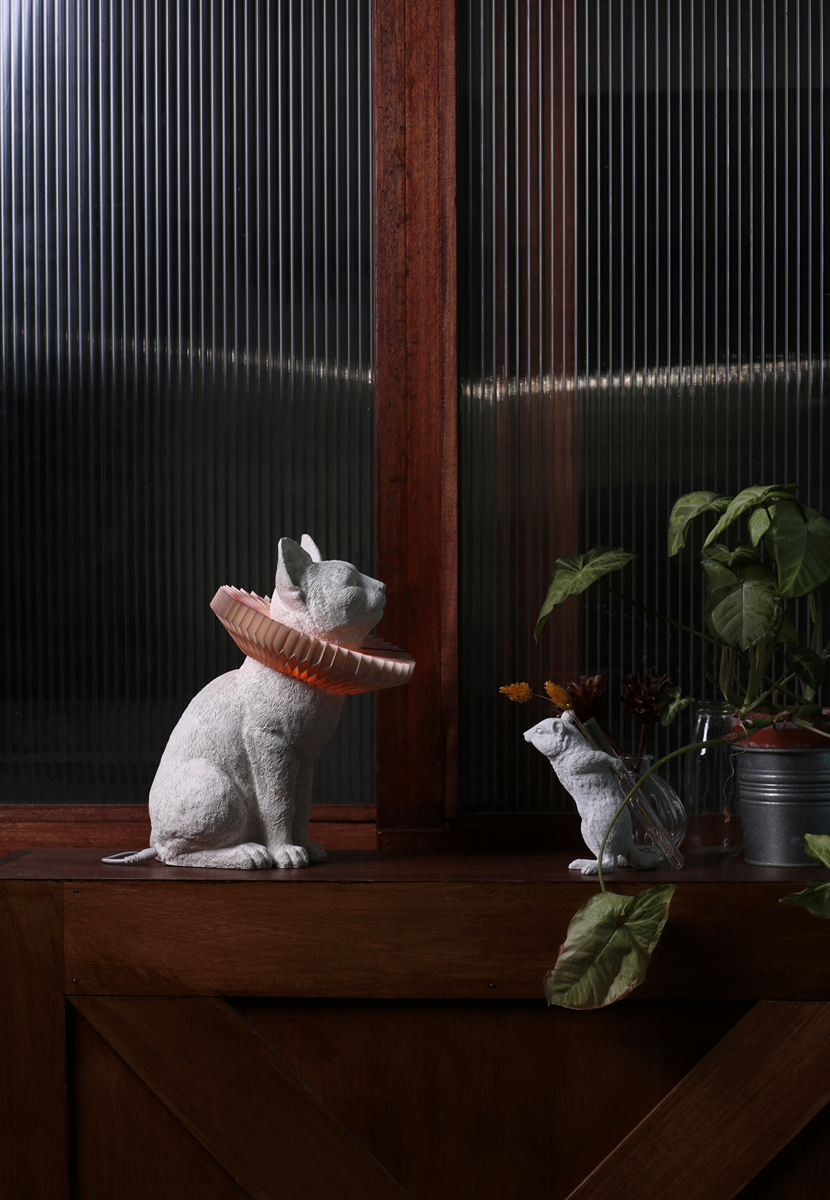 lamp，cat，lovely，decorate，