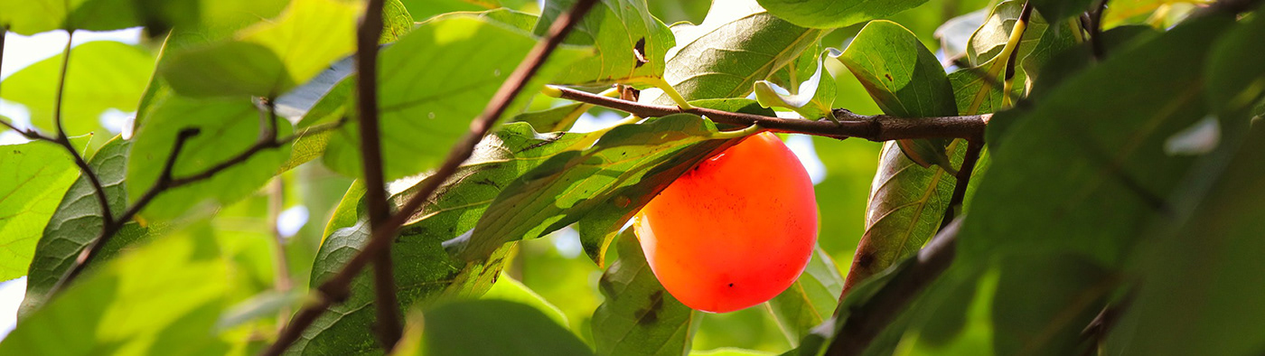 lamps and lanterns，lighting，electromagnetism，Interesting，