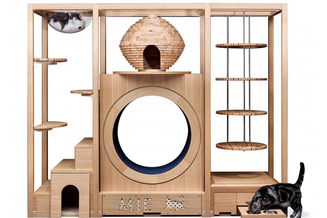 cat，Cat tower，Pets，