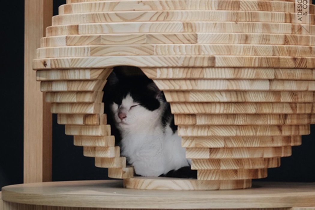 cat，Cat tower，Pets，