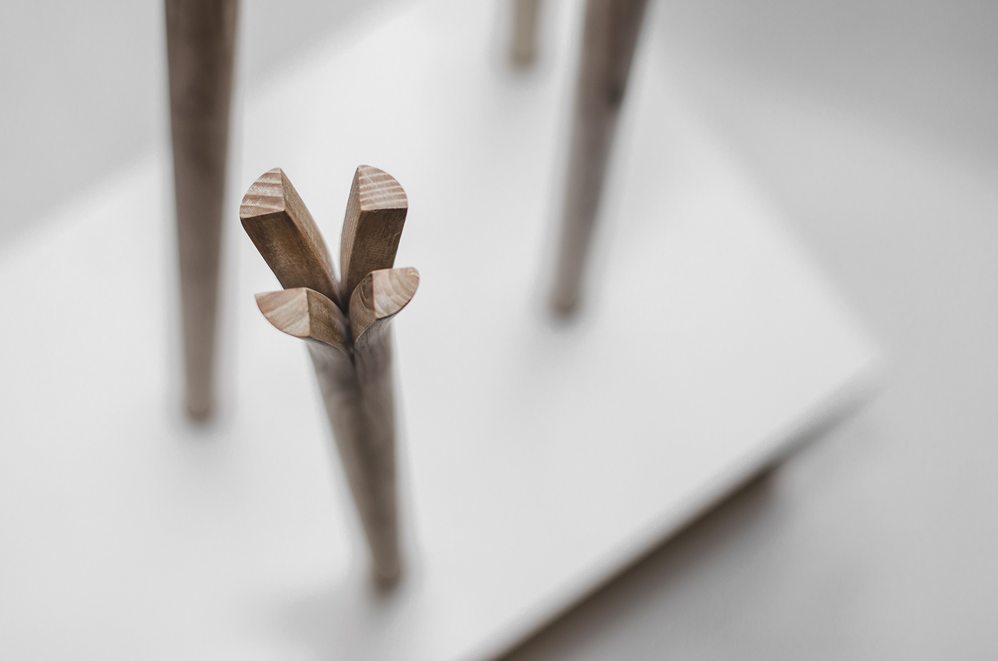 coat hanger，Flowers bloom，originality，wooden ，combination，