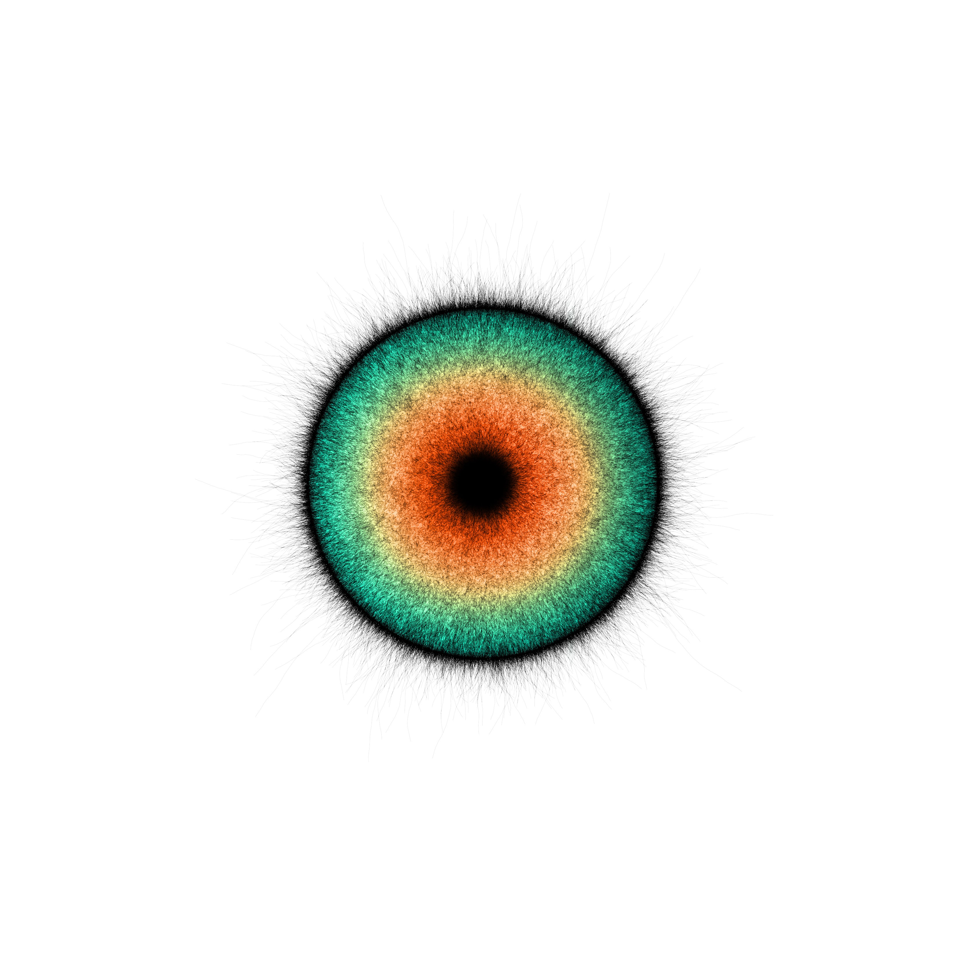 color，Render，keyshot，