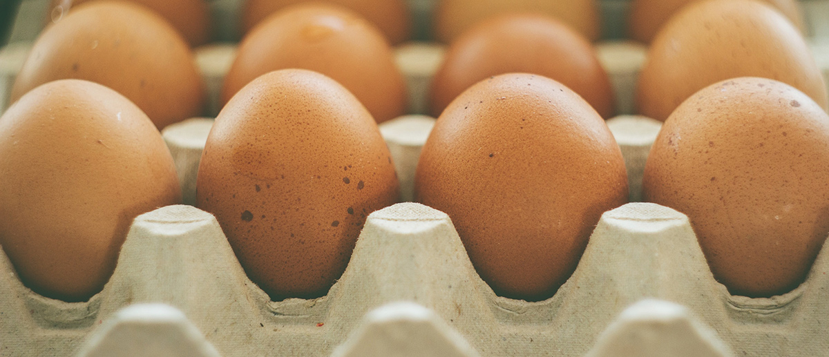 Row and insert，egg，Free activities，