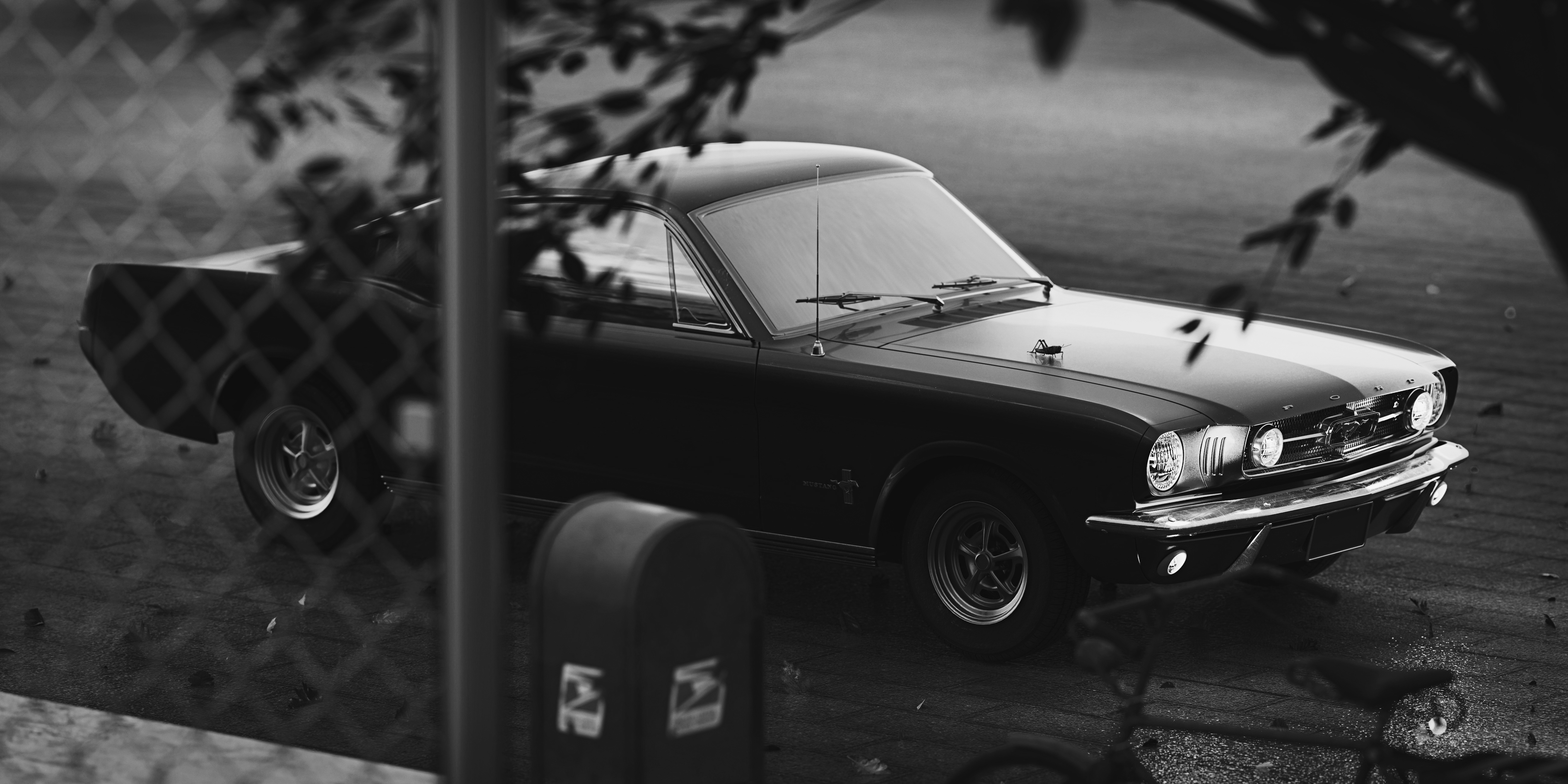 BLENDER，cycles，Ford Mustang，automobile，