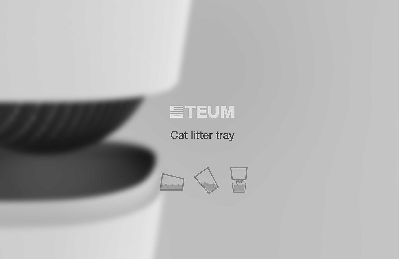 cat，Toilet，