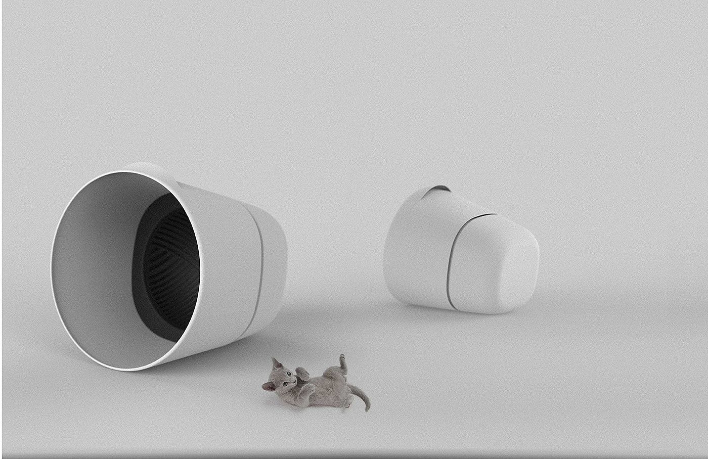 cat，Toilet，