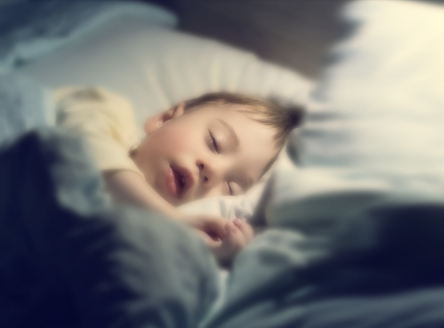 millet，intelligence，video camera，Digital，