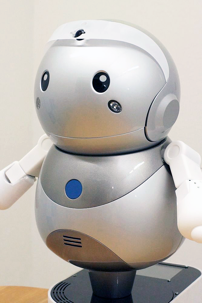 lovely，Housekeeper robot，intelligence，OFFER，