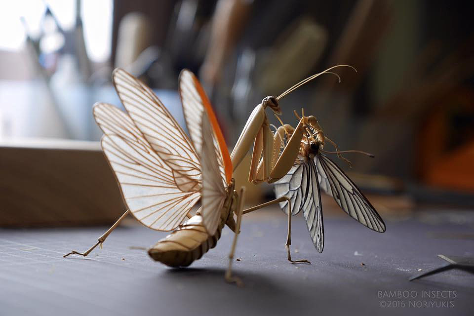 Japanese craftsmen，Noriyuki Saitoh，lifelike，Insect model，