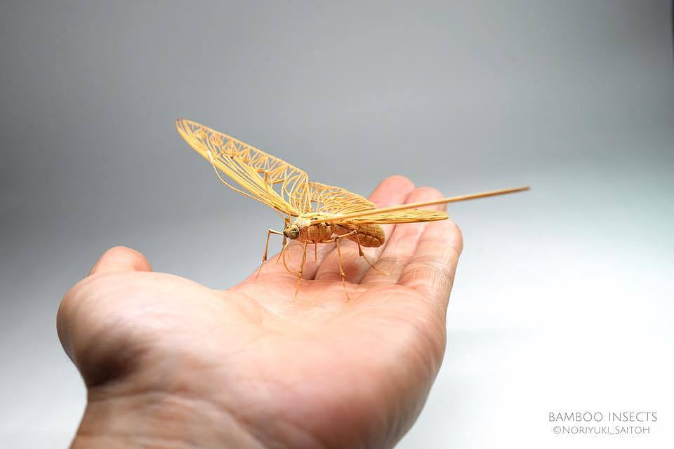 Japanese craftsmen，Noriyuki Saitoh，lifelike，Insect model，