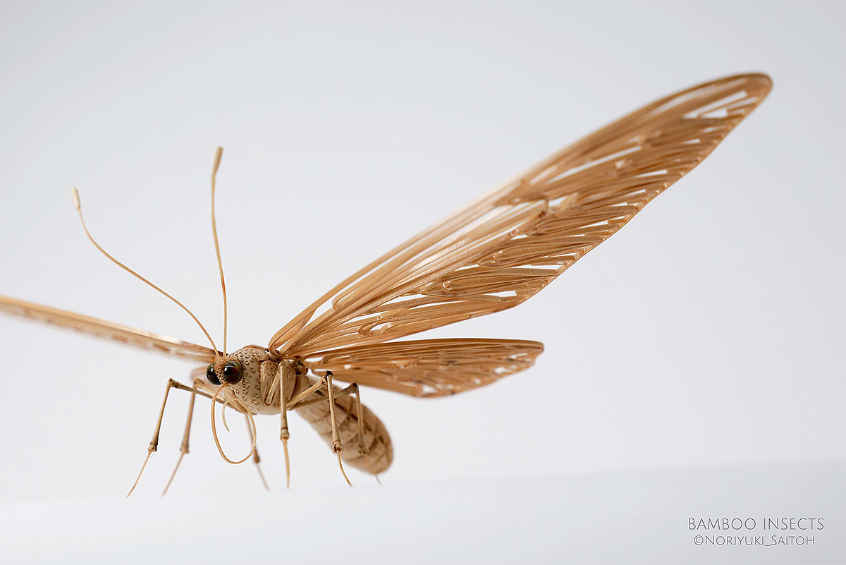 Japanese craftsmen，Noriyuki Saitoh，lifelike，Insect model，