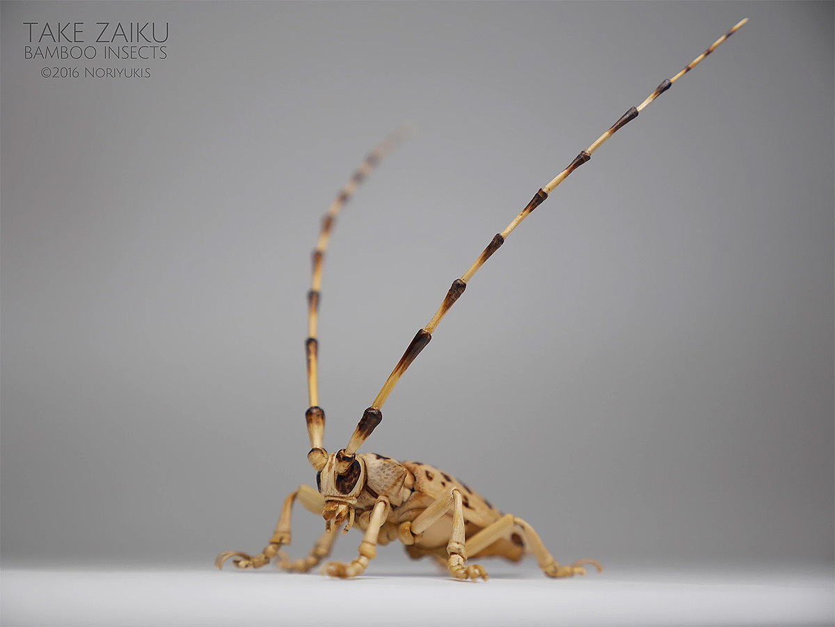 Japanese craftsmen，Noriyuki Saitoh，lifelike，Insect model，