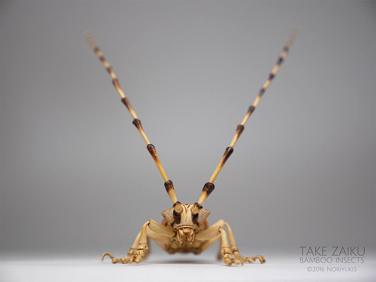 Japanese craftsmen，Noriyuki Saitoh，lifelike，Insect model，