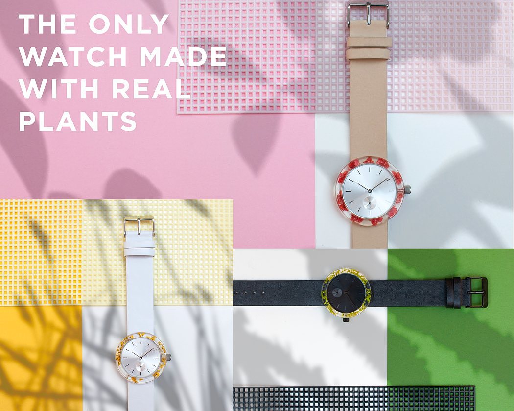 surface，Wrist watch，fresh，Botany，Simplicity，beautiful，