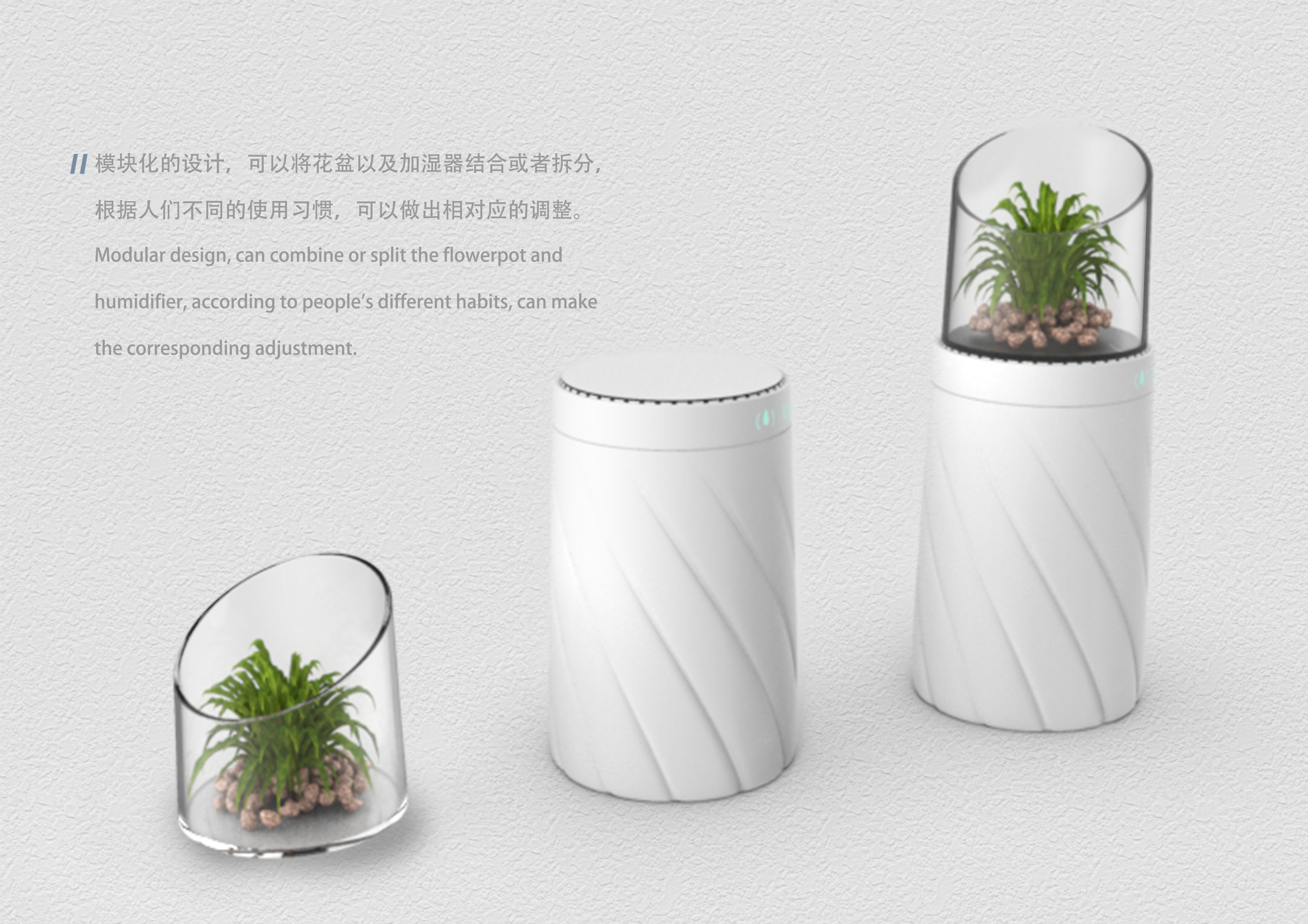 Plant flowers and plants，