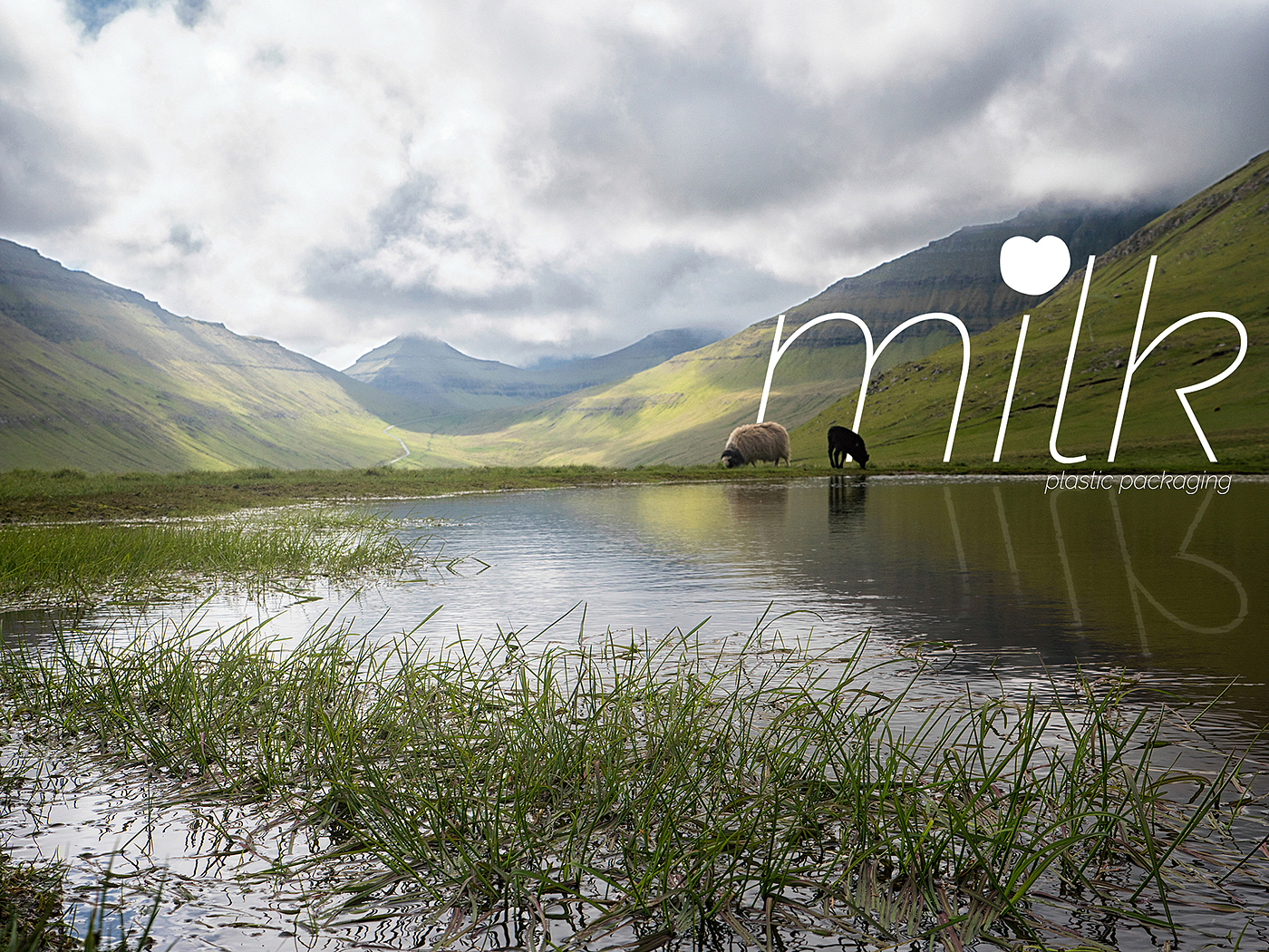 milk，bottle，concept，packing，