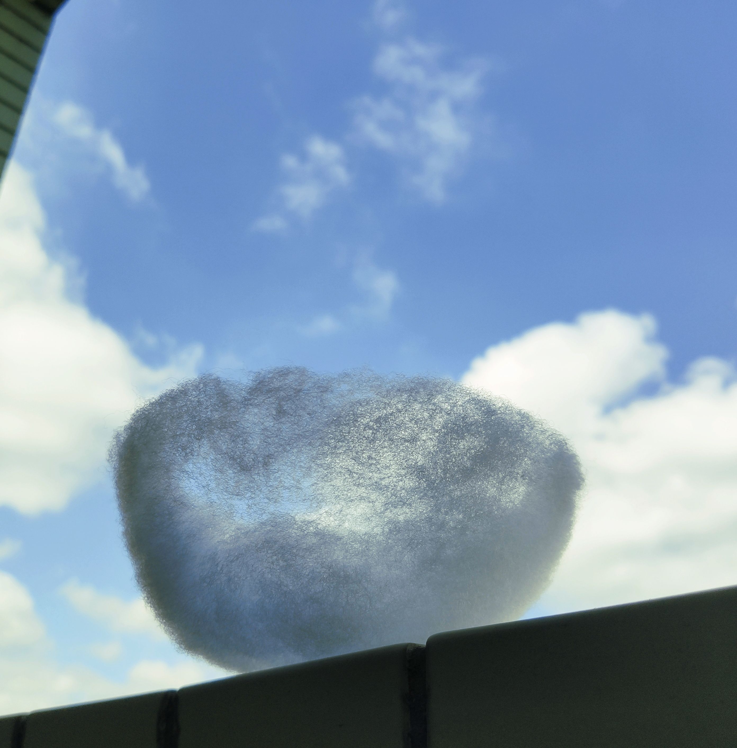 bowl，soft，Remember，