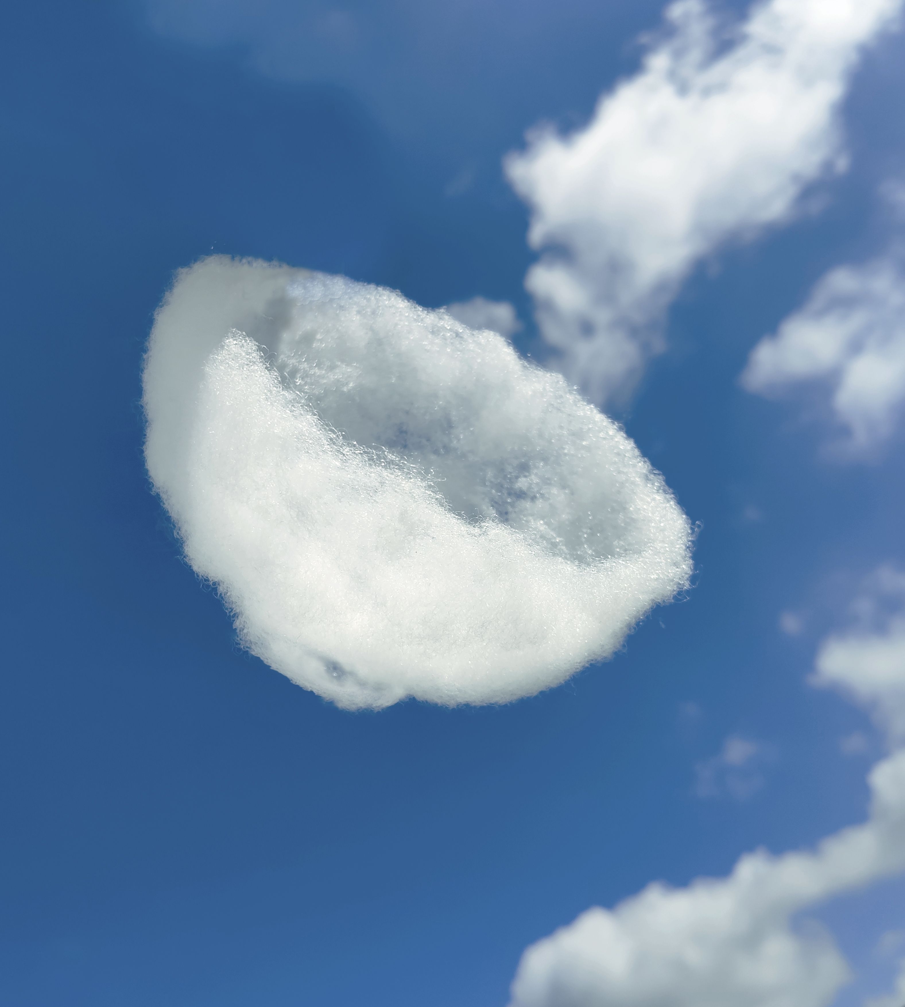 bowl，soft，Remember，