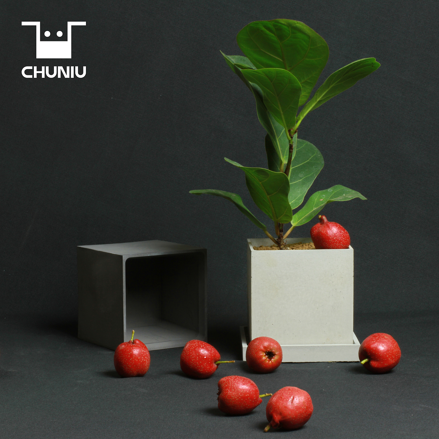 Minimalist cement flowerpot，